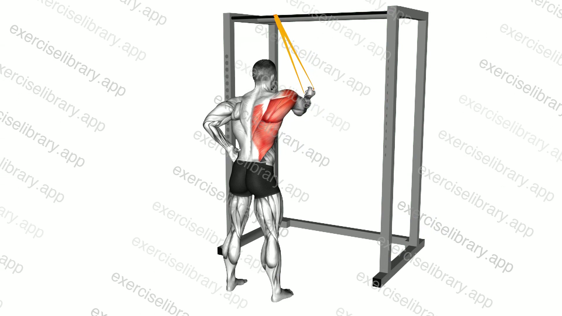 Resistance Band Cross Body Single Straight Arm Supinated Pulldown demonstration