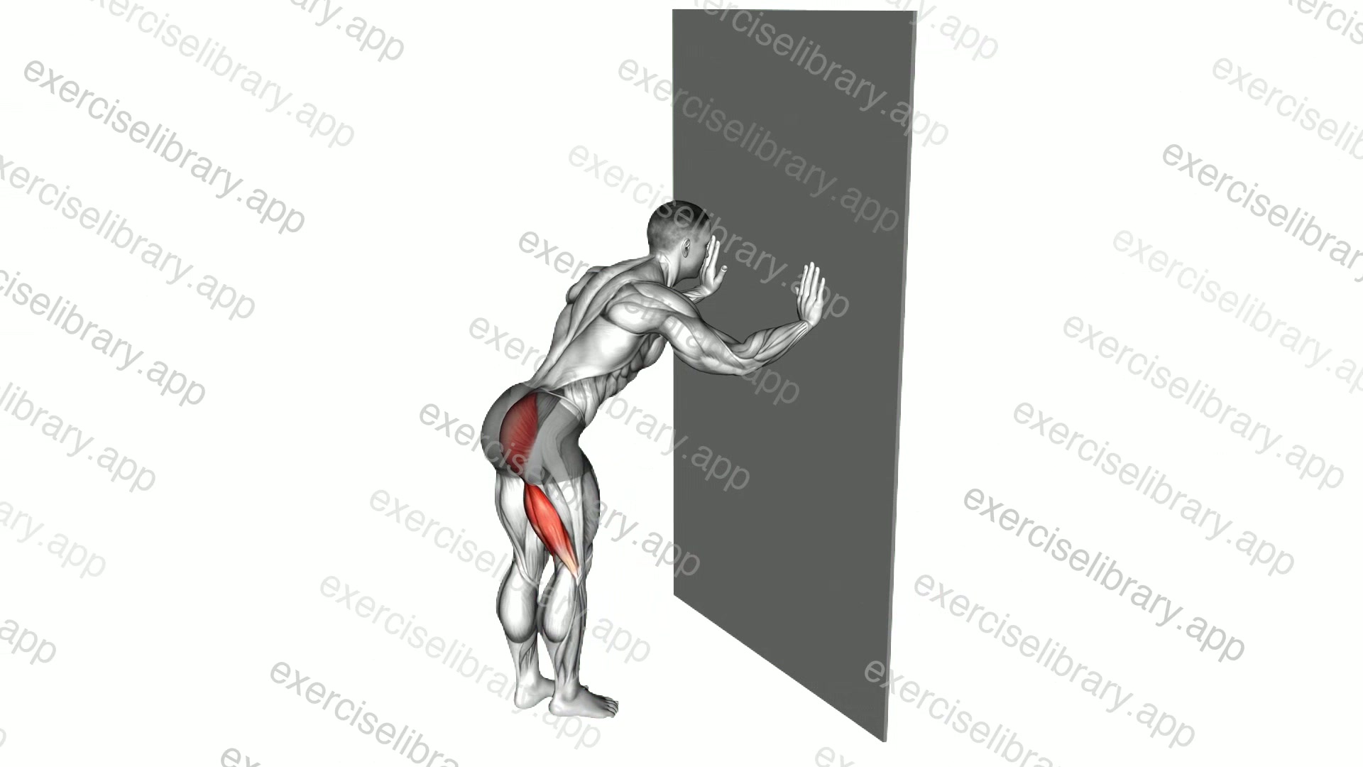 Bodyweight Standing Hip Extension demonstration