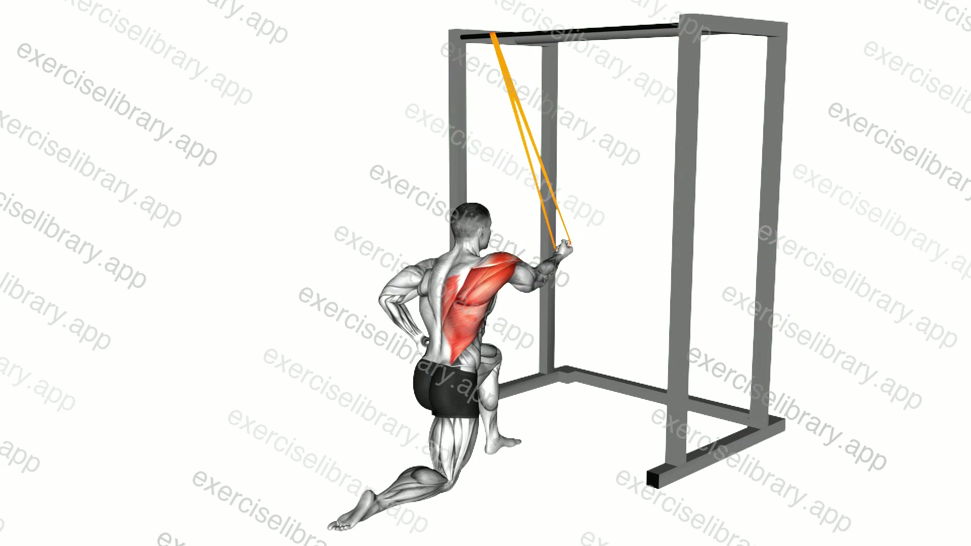 Resistance Band Kneeling Cross Body Single Straight Arm Supinated Pulldown demonstration