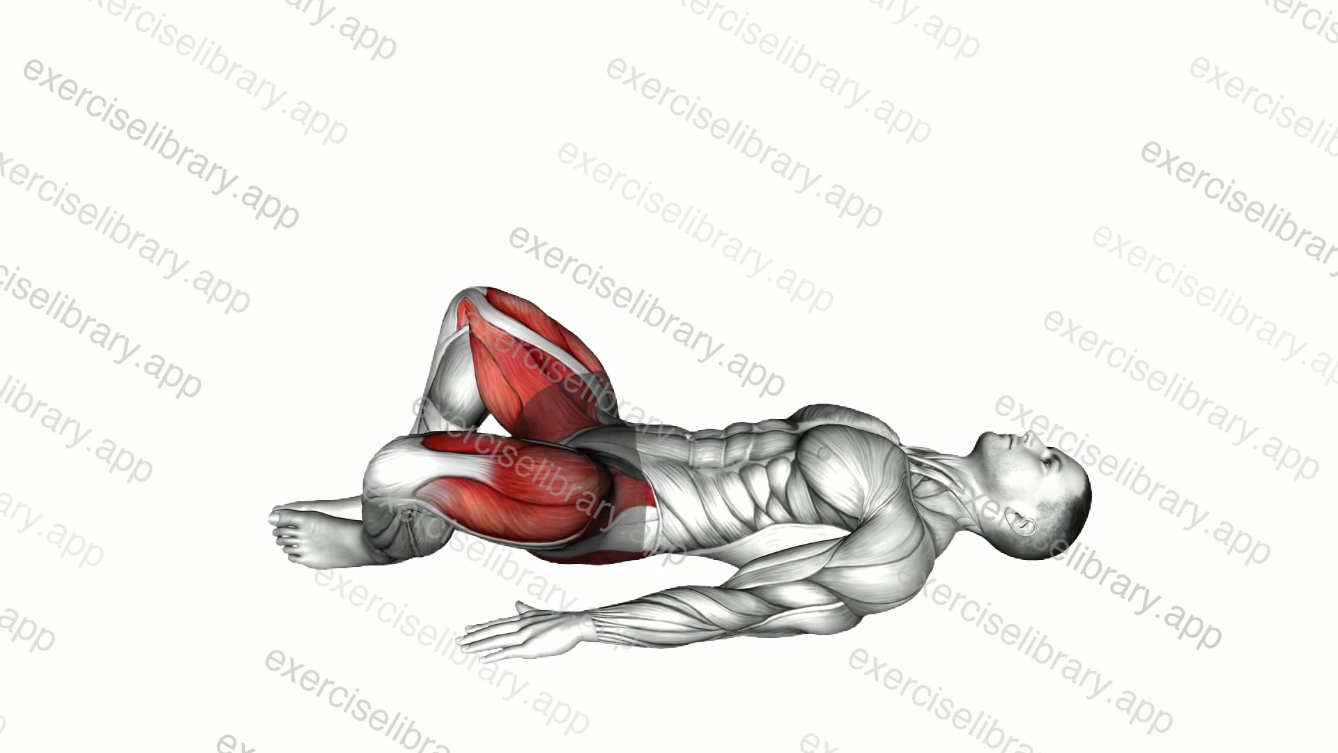Bodyweight Frog Hip Thrust demonstration
