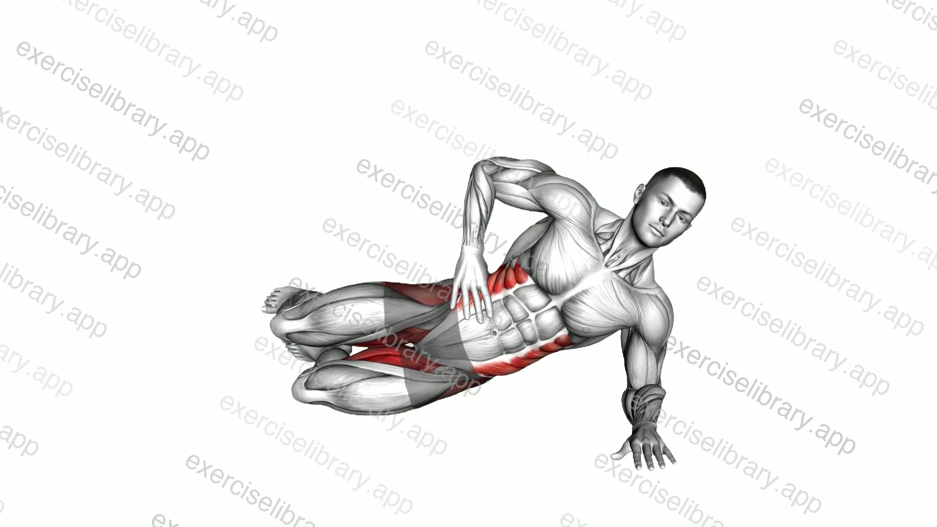 Side Plank Bent Leg Lift demonstration