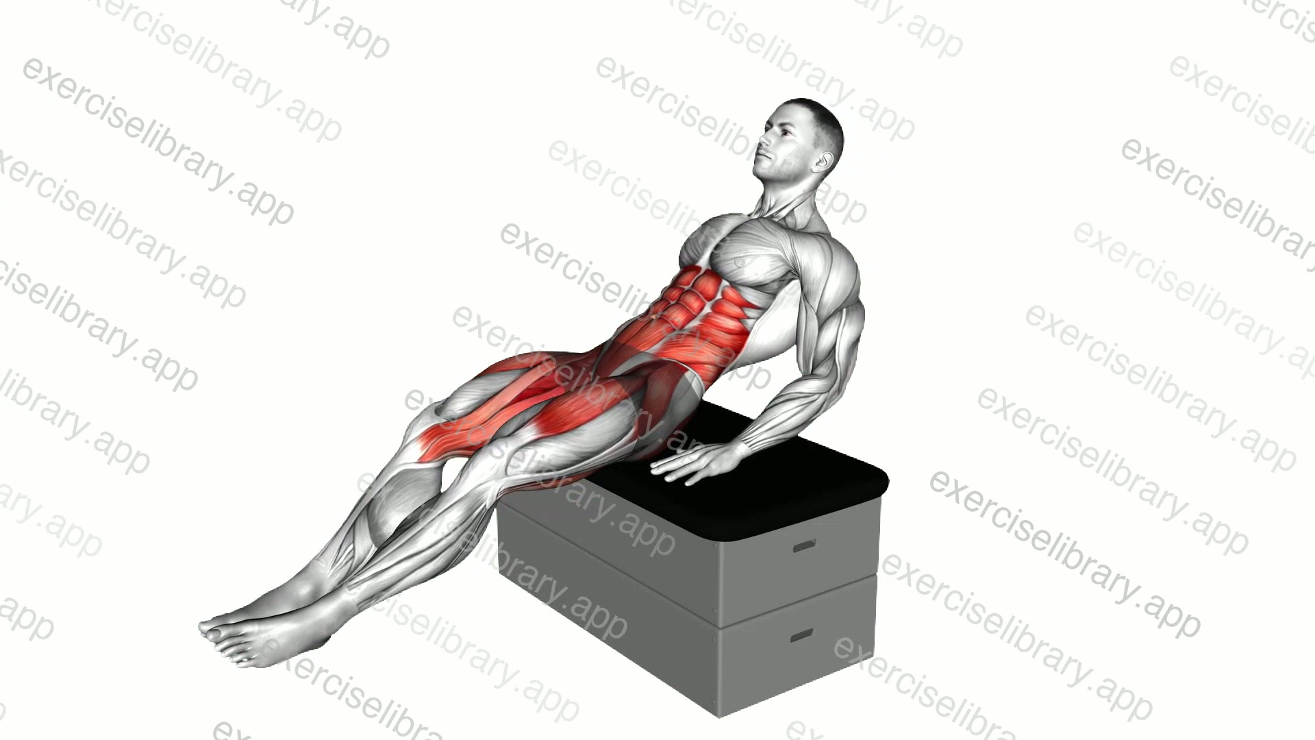 Sitting Frog Crunch on a padded stool demonstration