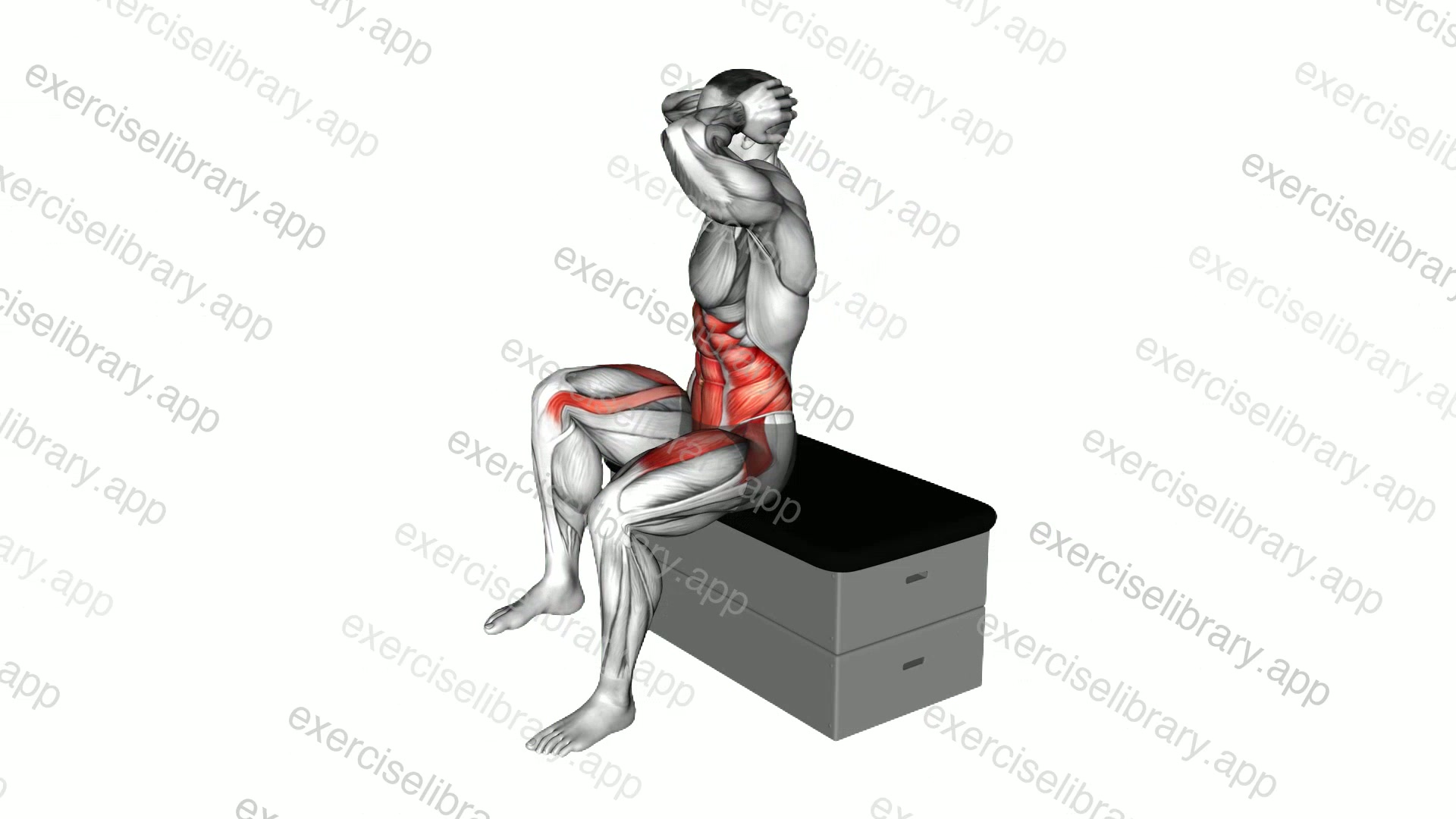 Sitting Twist Knee Raise on a padded stool demonstration
