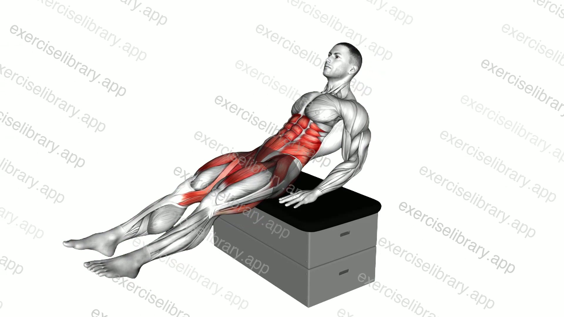 Sitting Scissors Lift Crunch on a padded stool demonstration