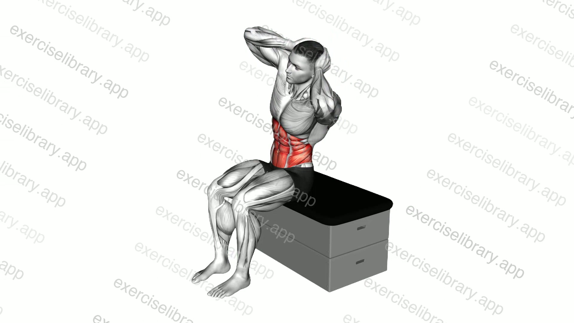 Sitting Side Bend on a padded stool demonstration
