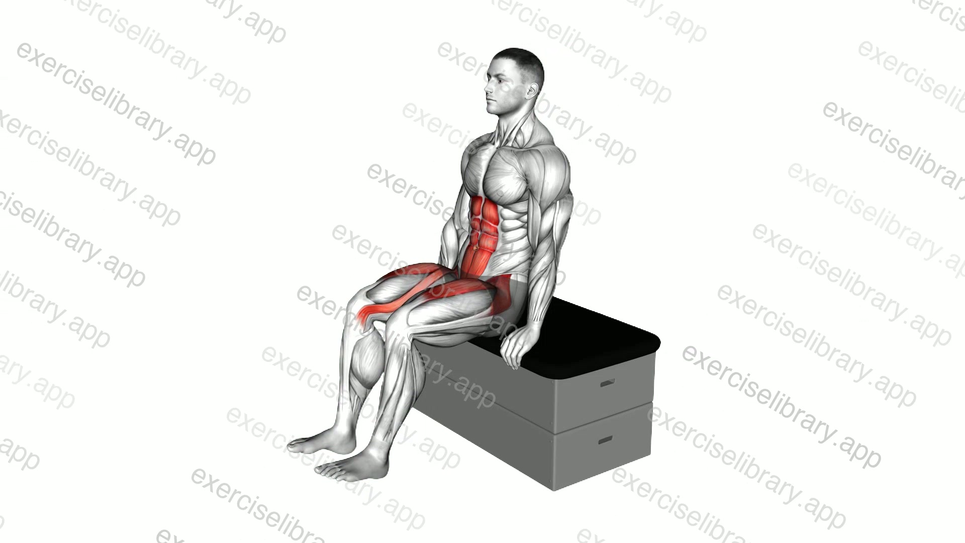 Sitting Knee Tuck on a padded stool demonstration
