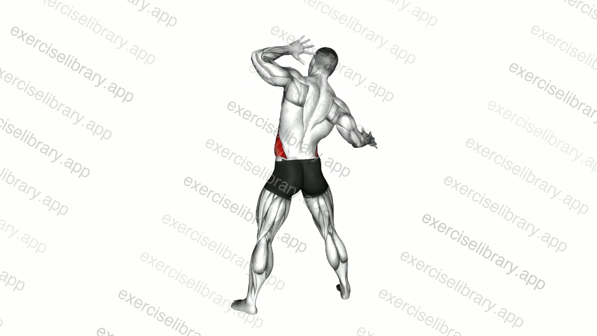 Ear to Knee Side Bend demonstration