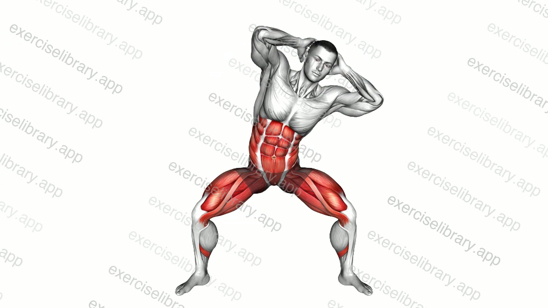 Half Squat Side Bend demonstration