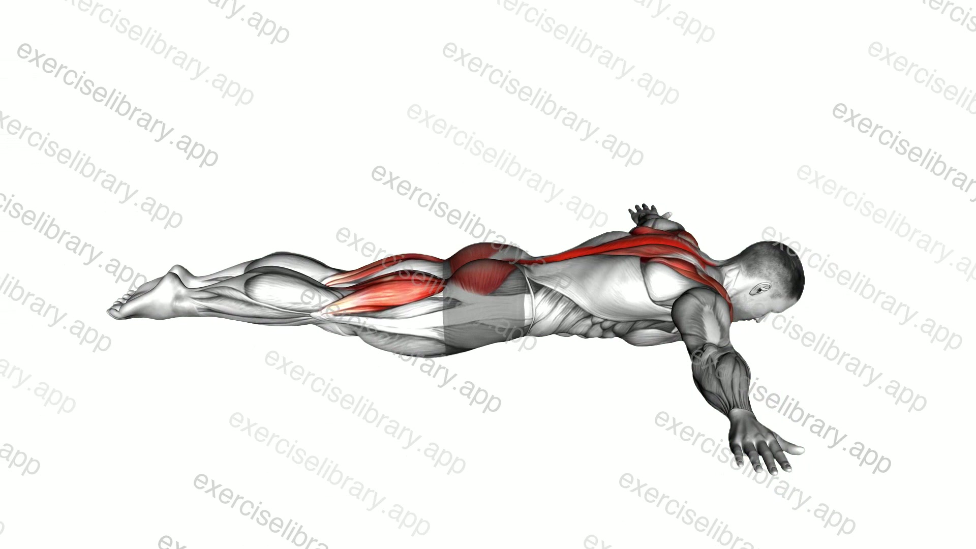 Floor T Raise demonstration