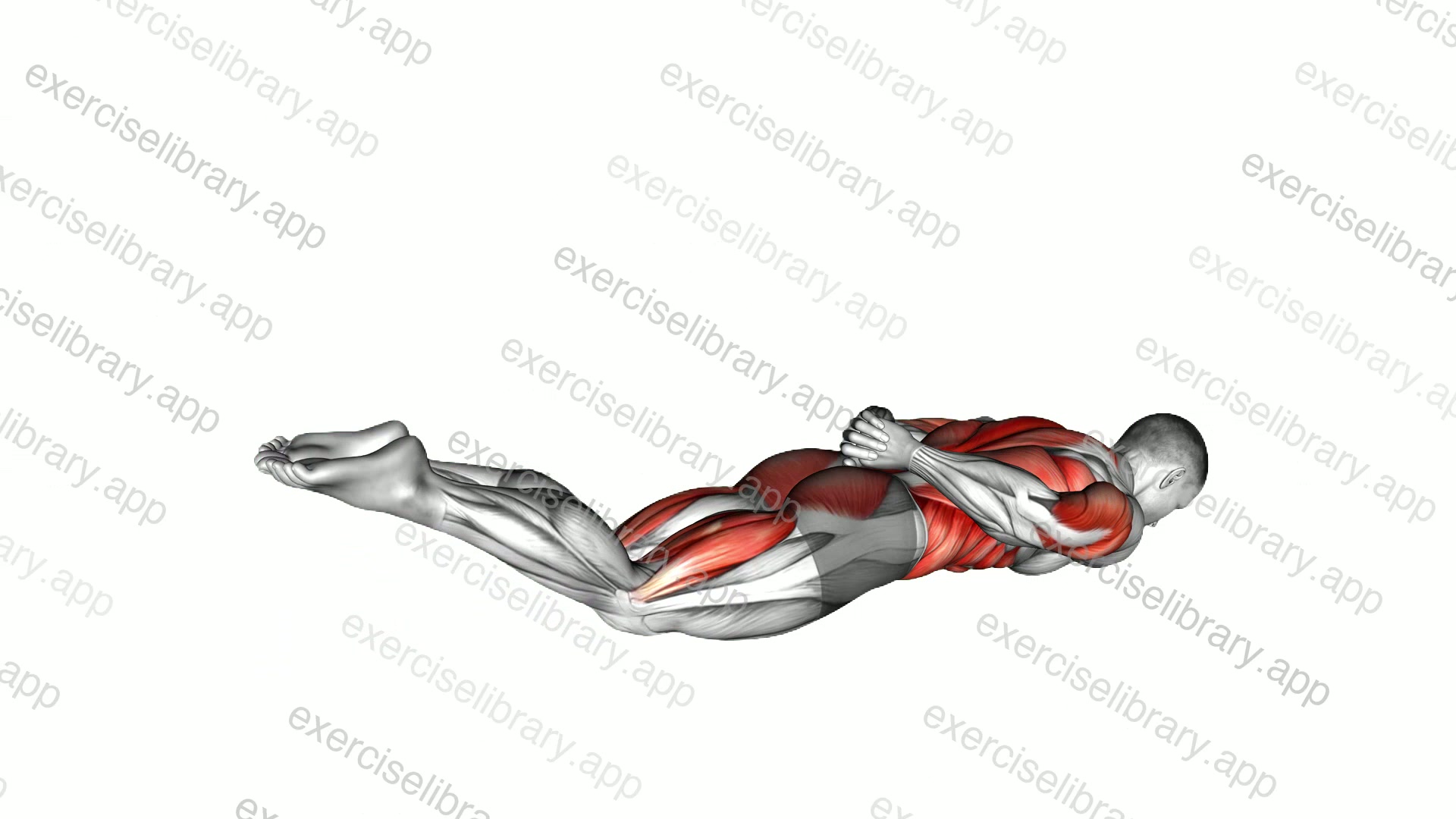 Lying Double Leg Kick demonstration