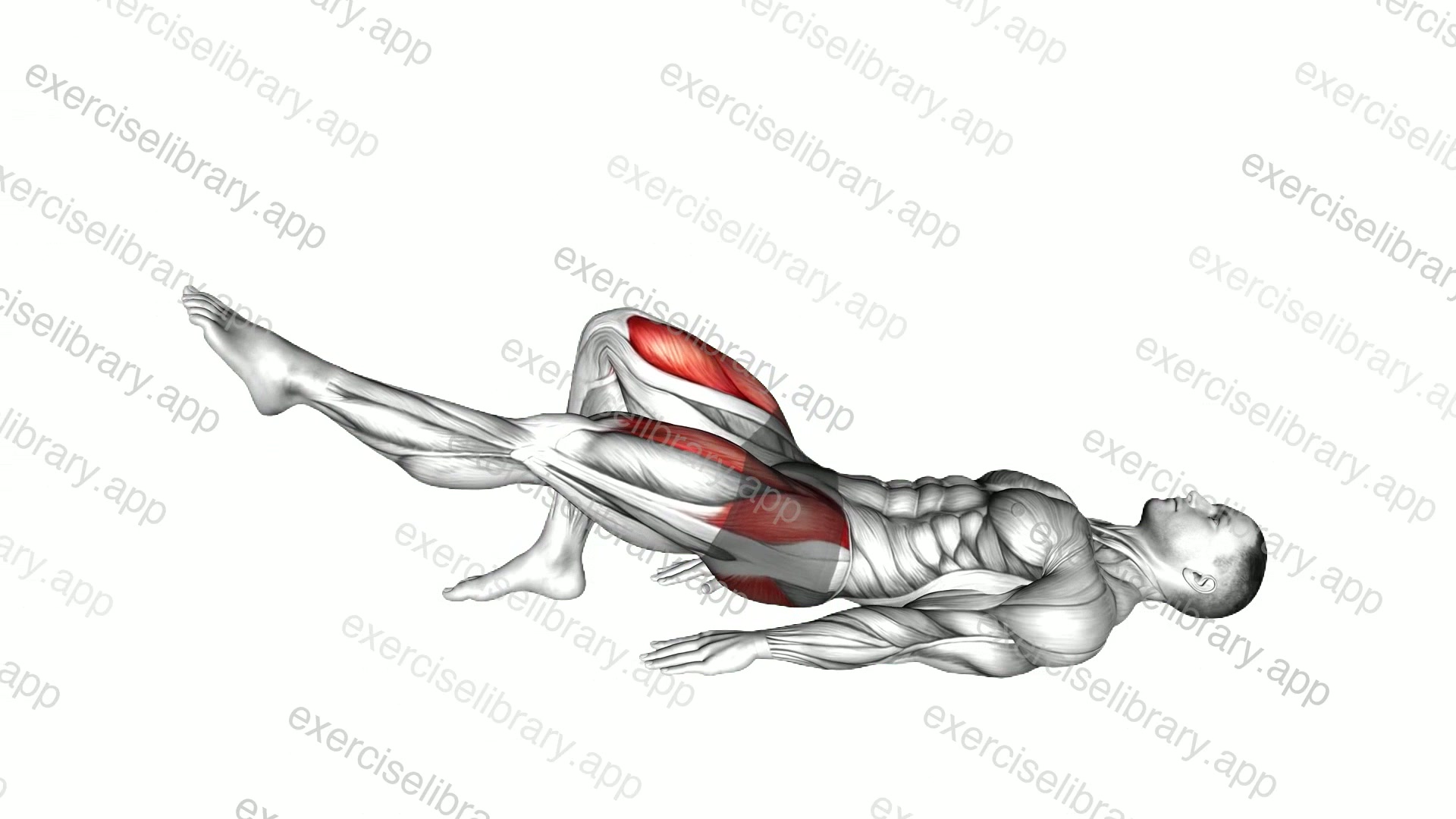 Single Straight Leg Glute Bridge Hold demonstration