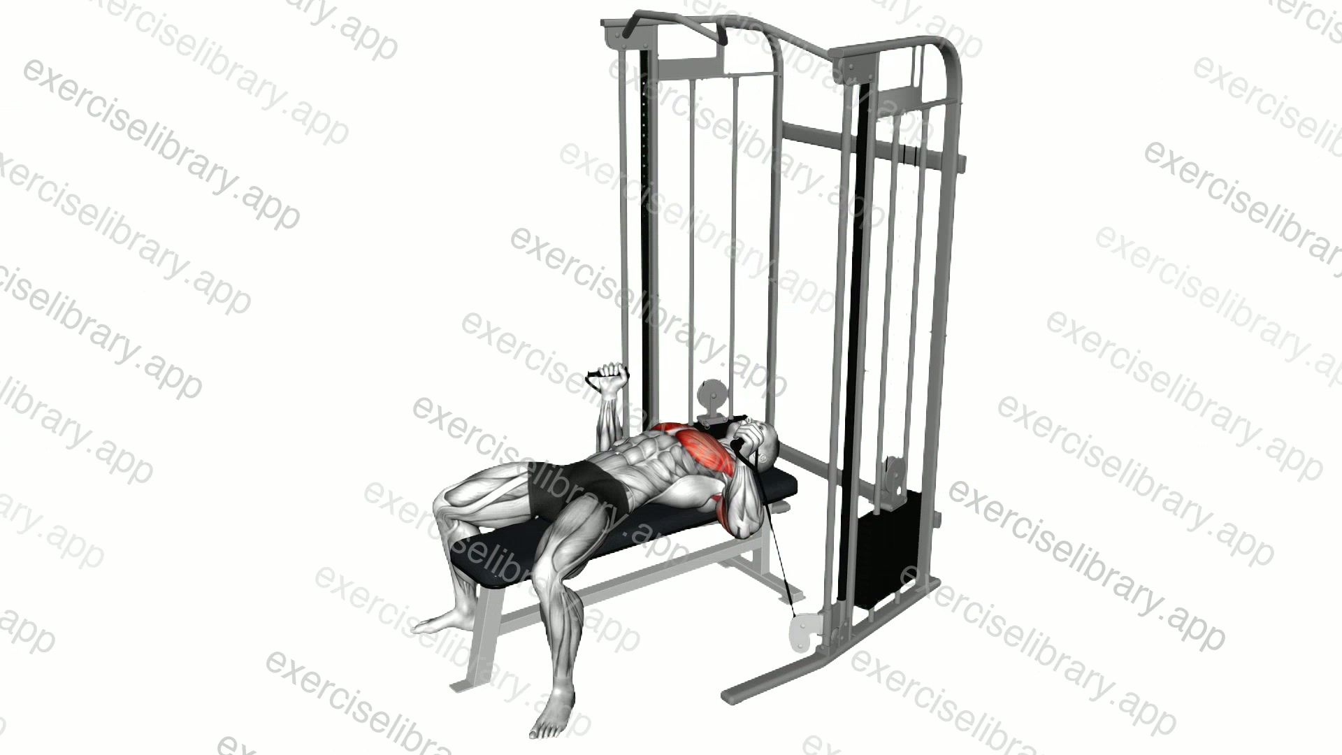 Cable Neutral grip Chest Press demonstration
