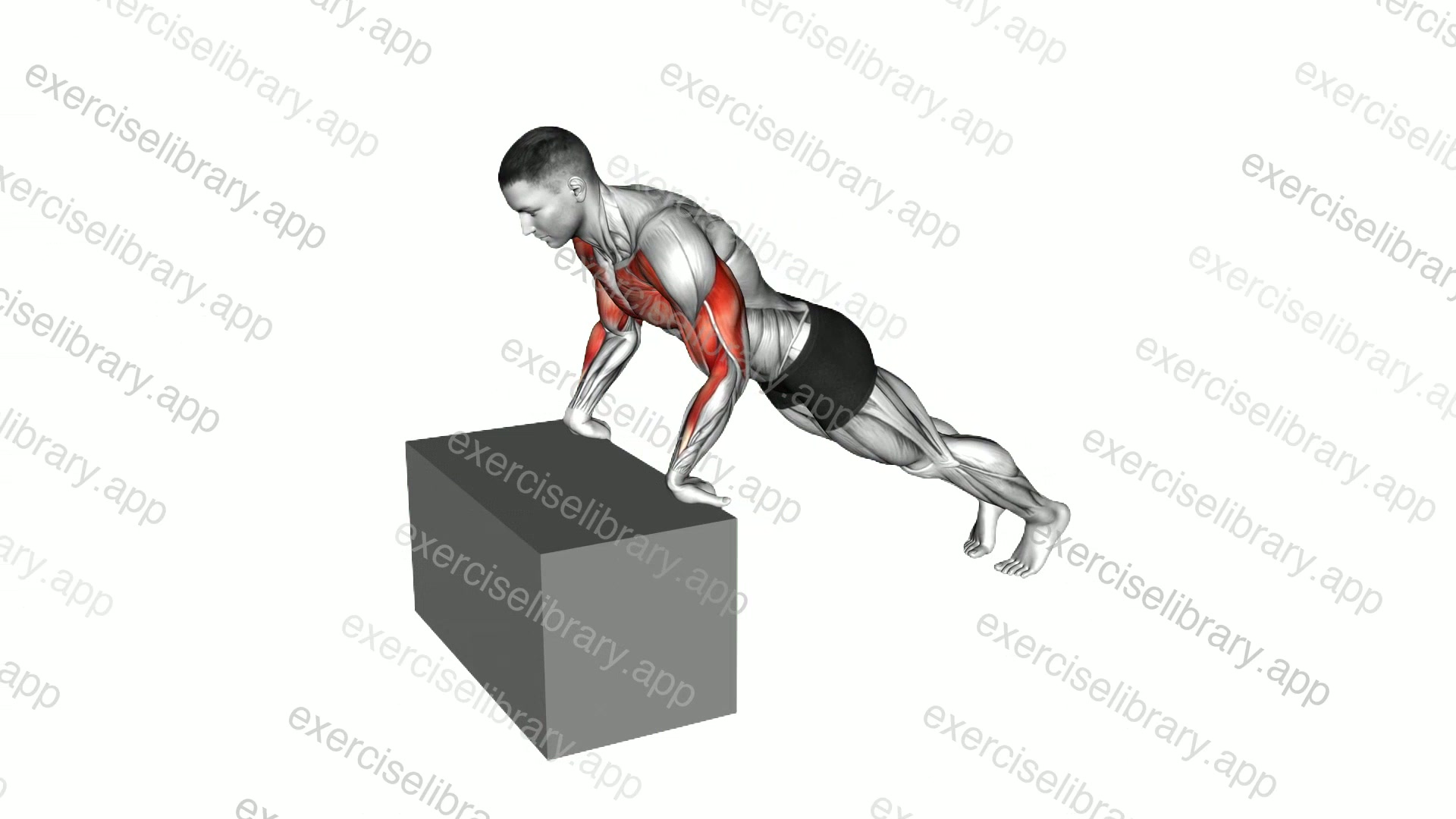 Inclime Reverse Push-up demonstration