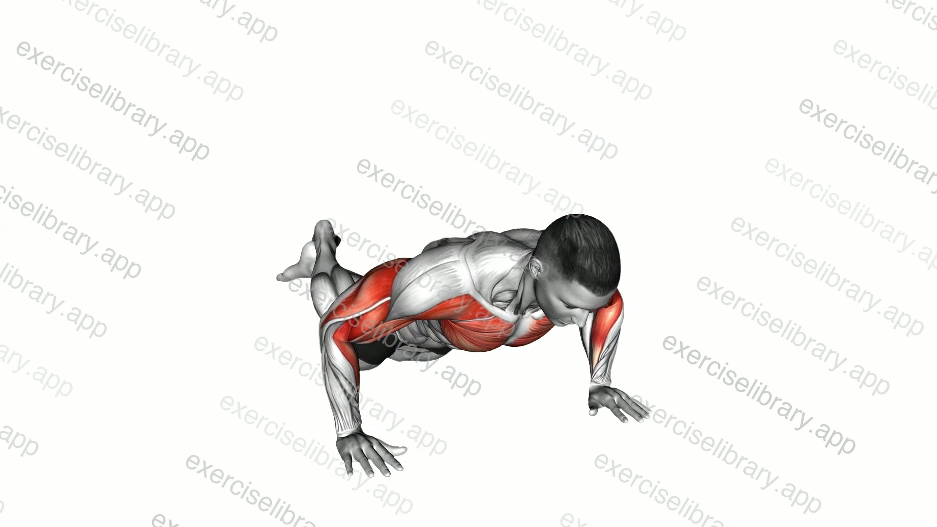 Kneeling Shoulder Tap Push-up demonstration