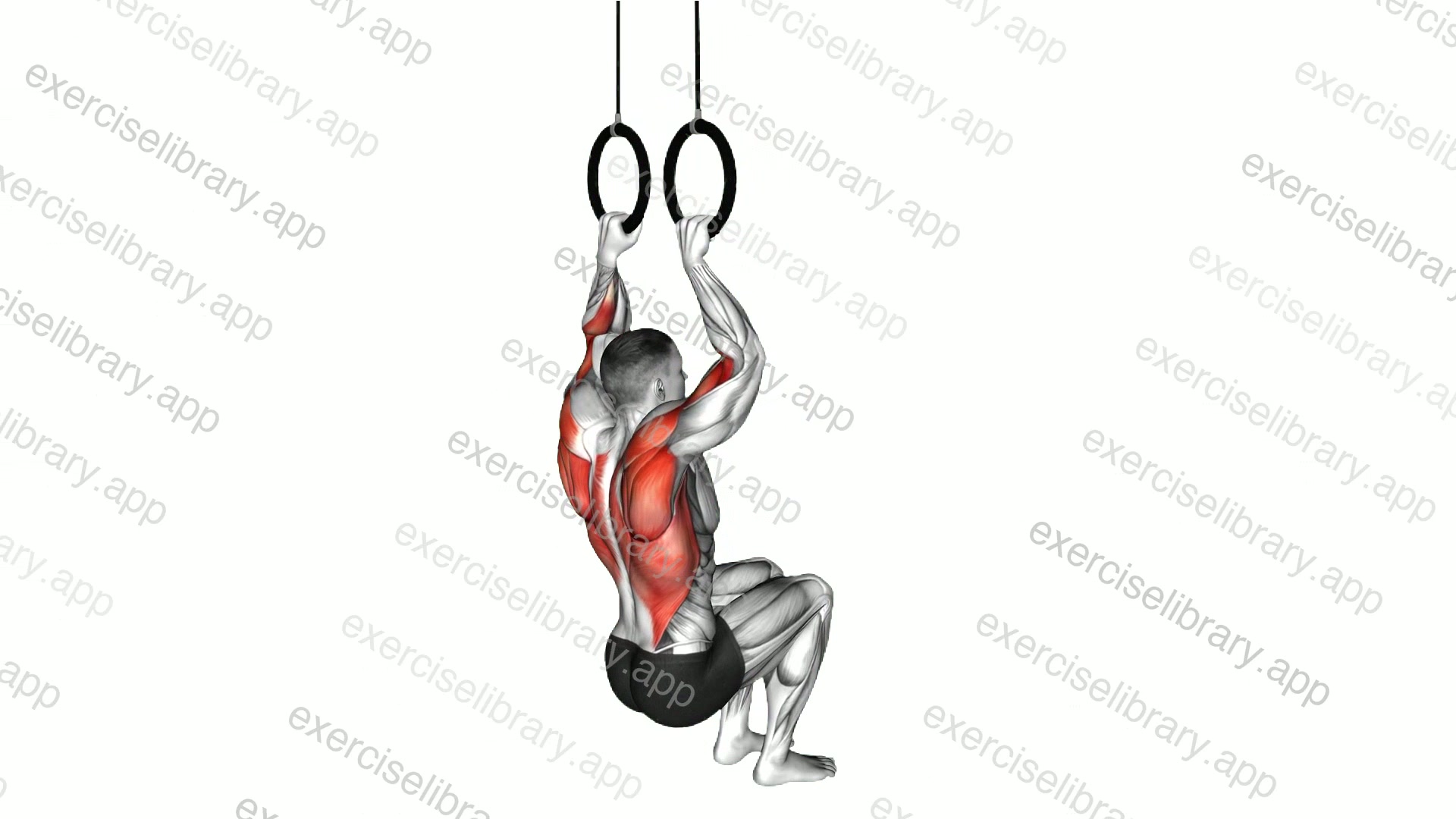 Ring Self Assisted Pull-up demonstration