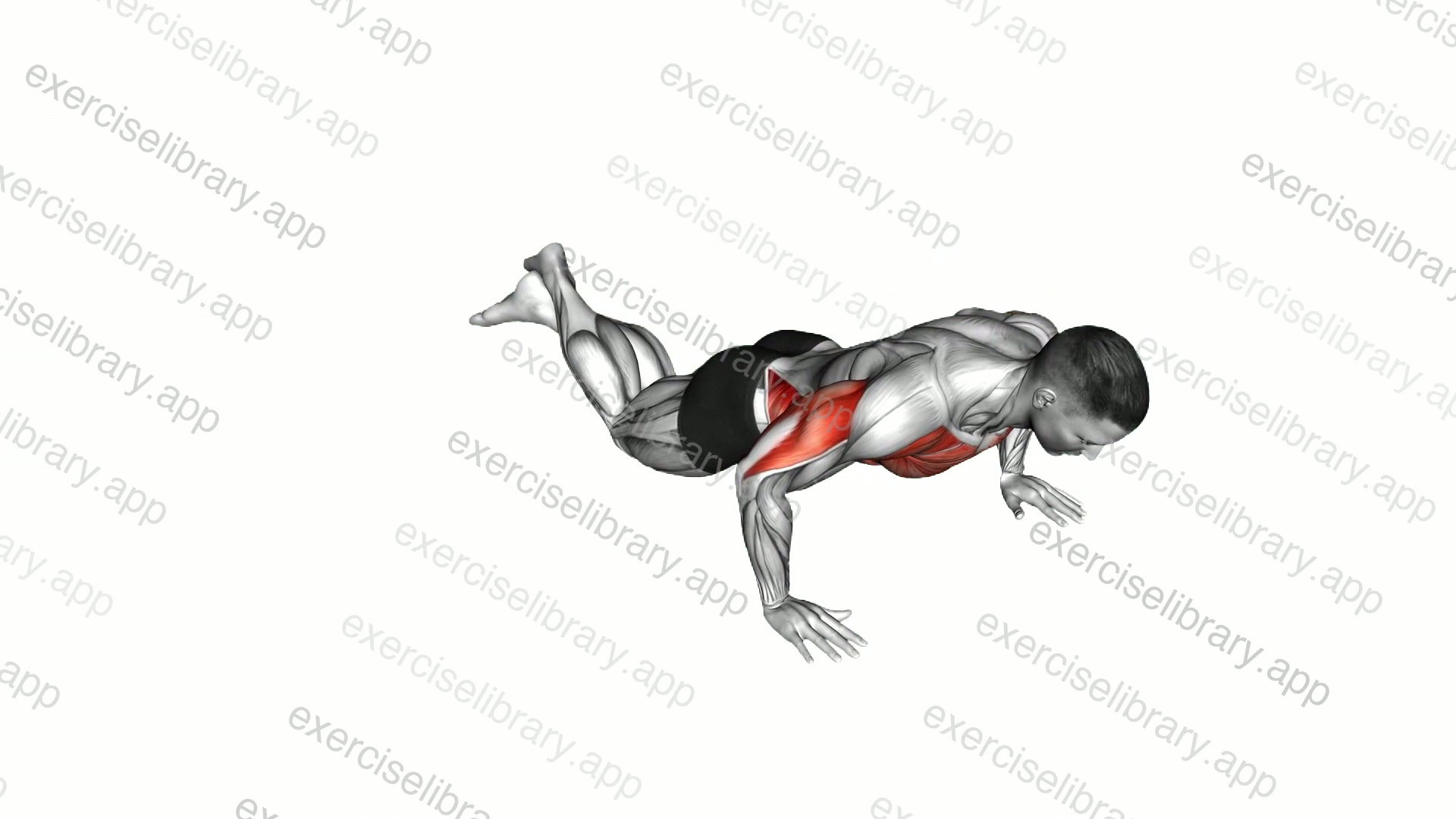 Kneeling Clock Push-up demonstration