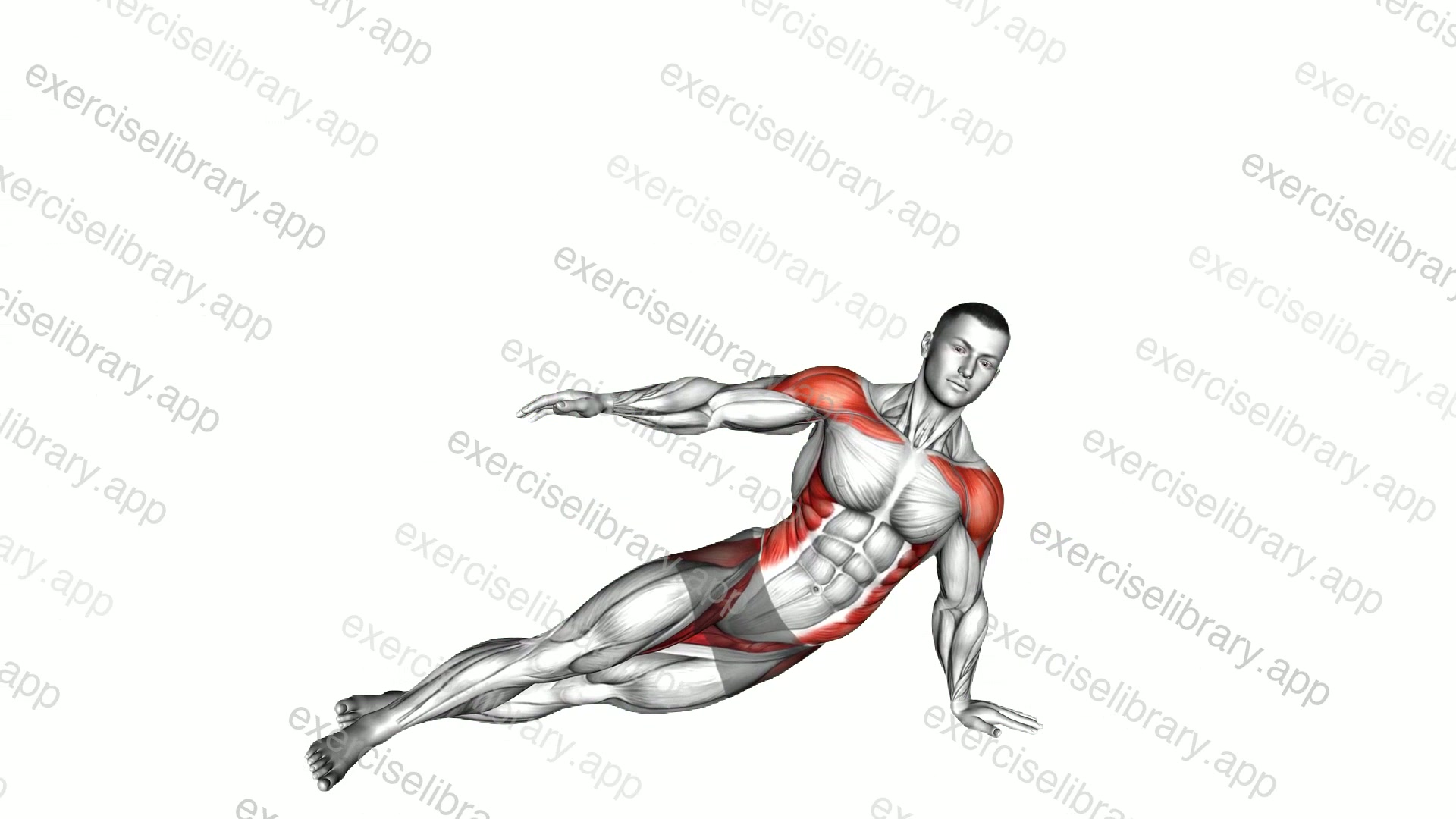 Side Bend Plank demonstration