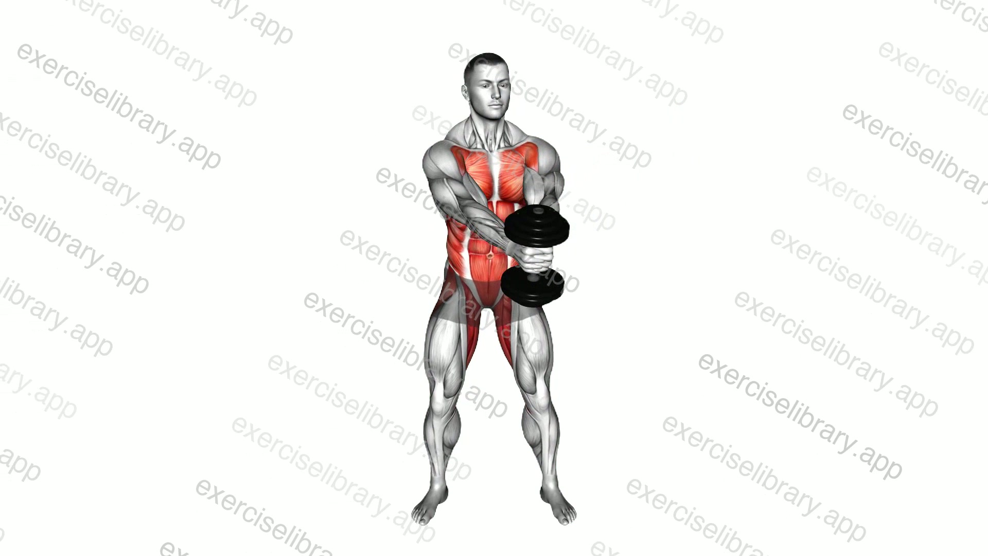 Dumbbell Spin demonstration