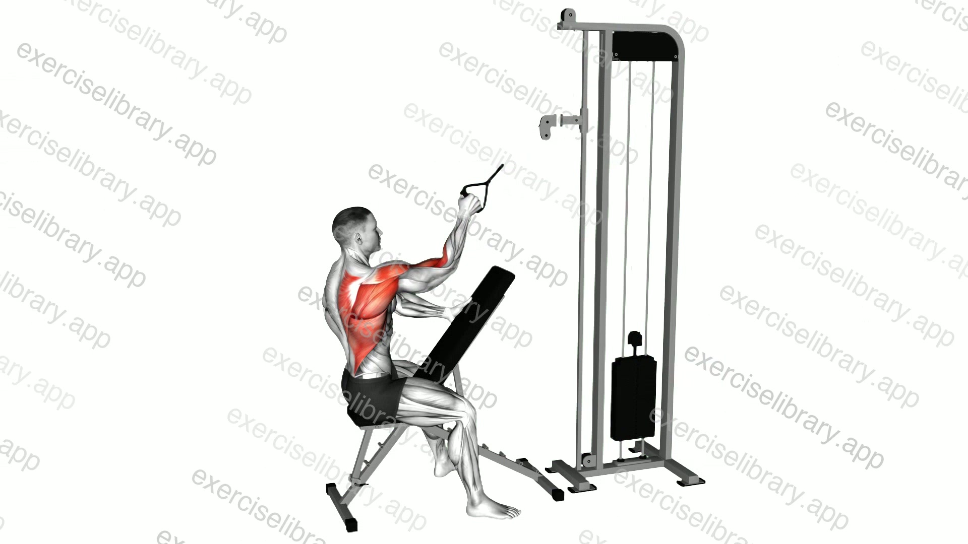 Cable Single Arm High Row demonstration