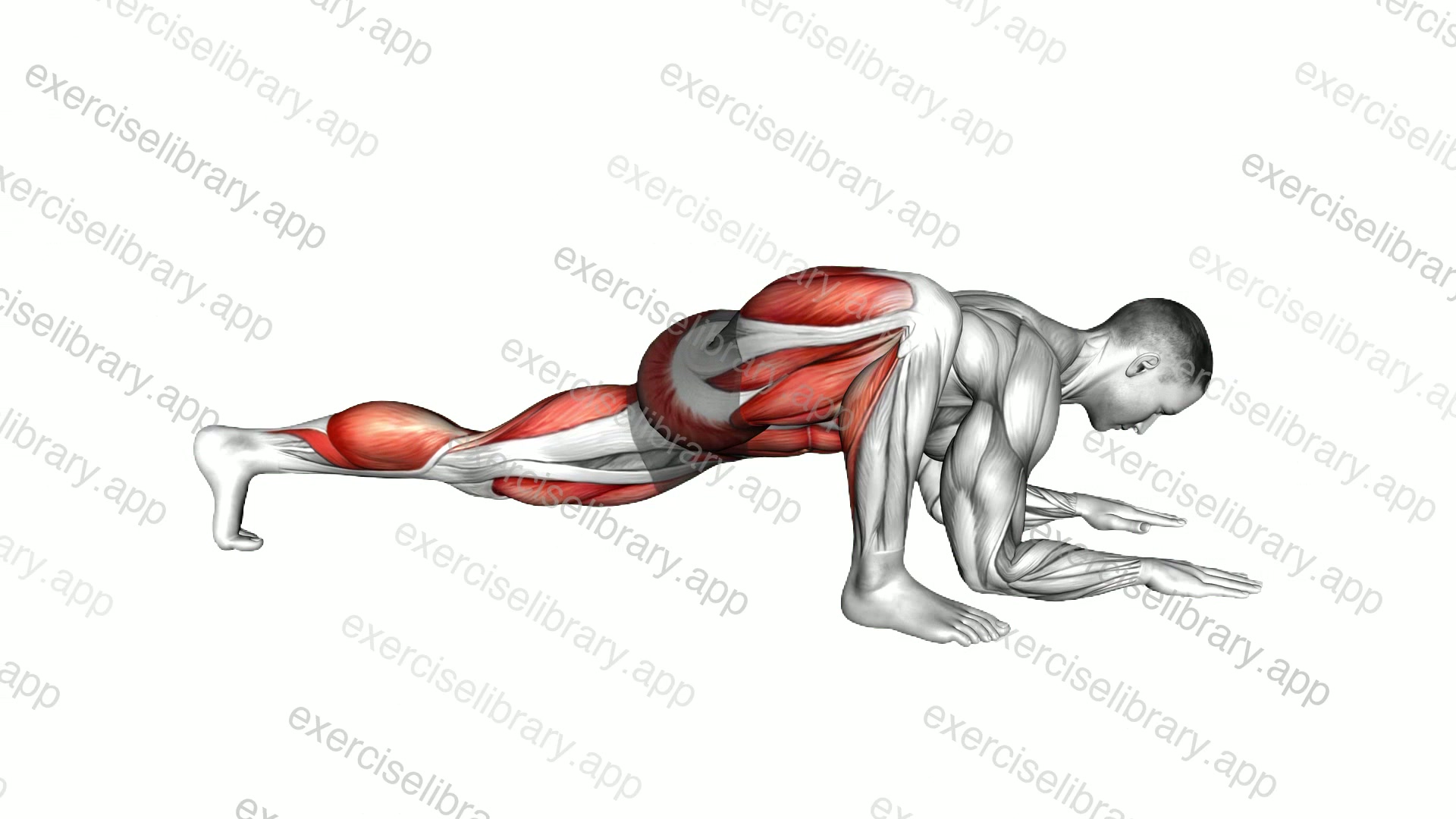 Lizard Pose demonstration
