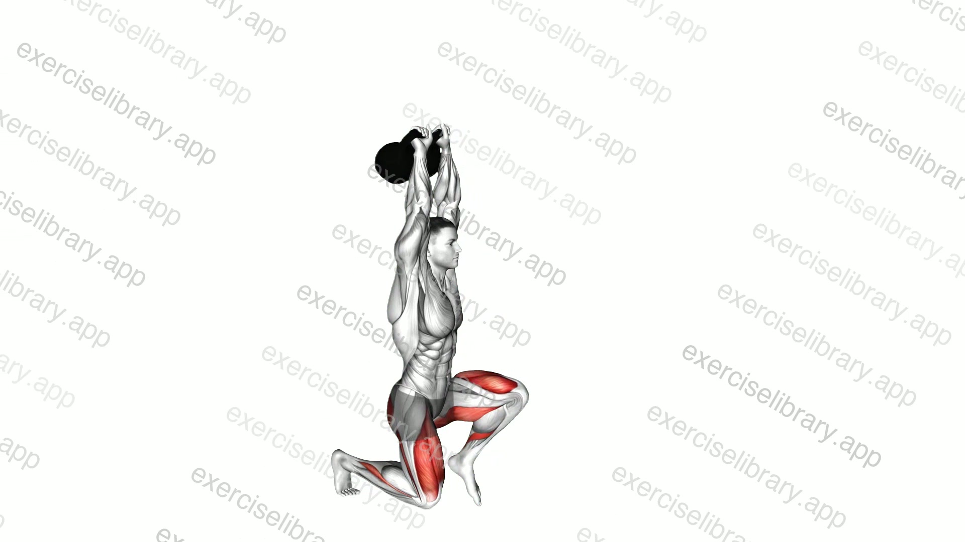 Kettlebell Kneeling Hold to Stand demonstration