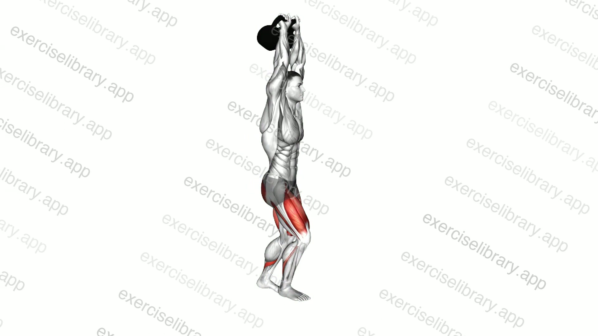 Kettlebell Overhead Lunge demonstration