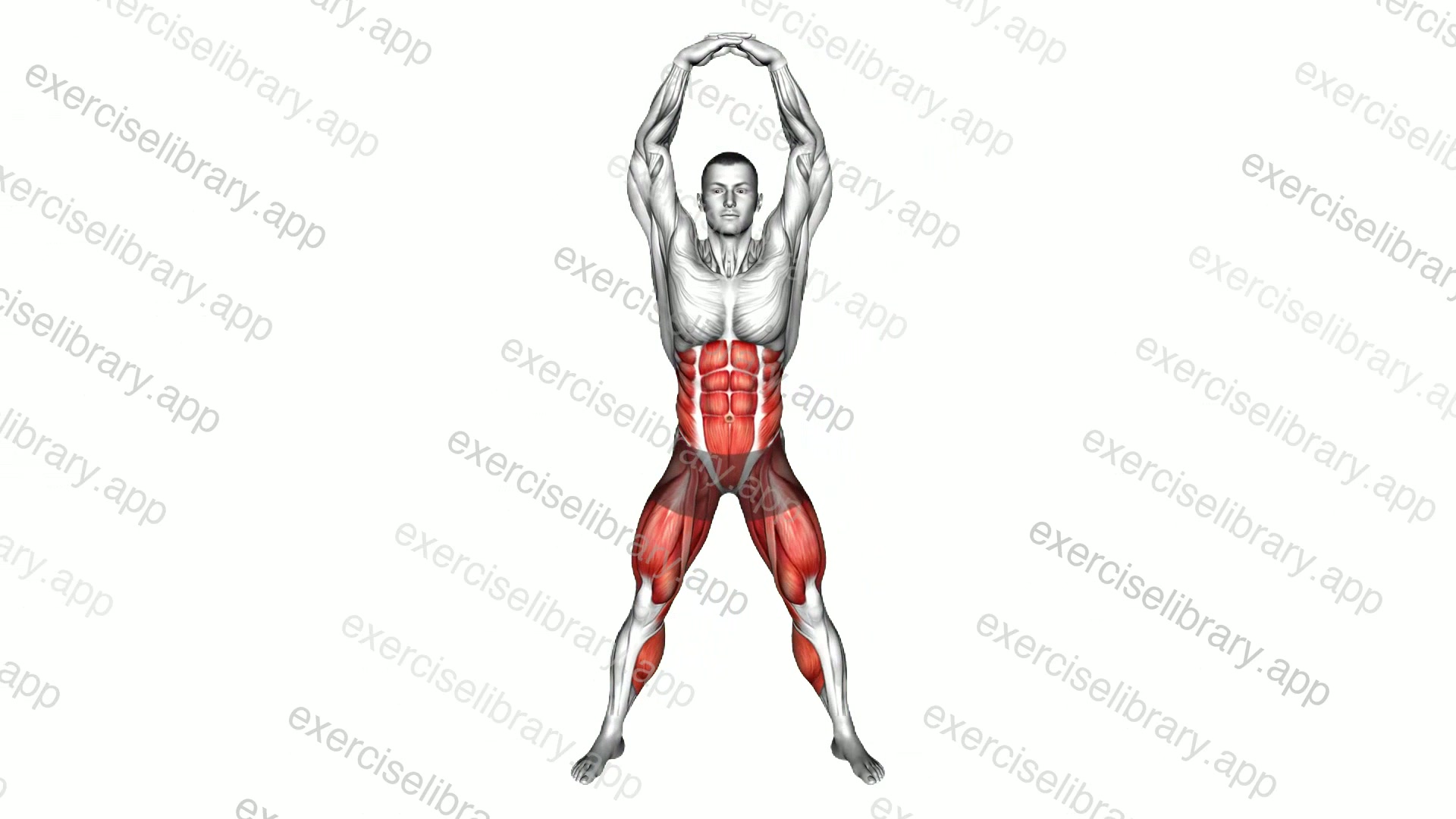 Hands-up Knee-up demonstration