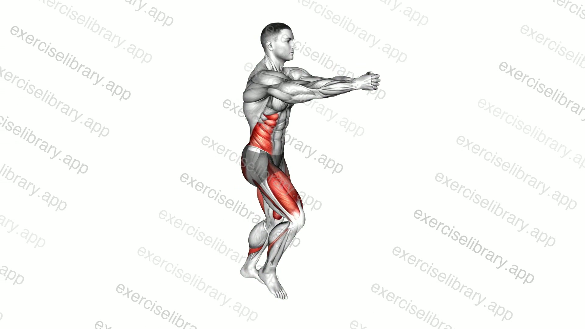 Lunge Twist demonstration