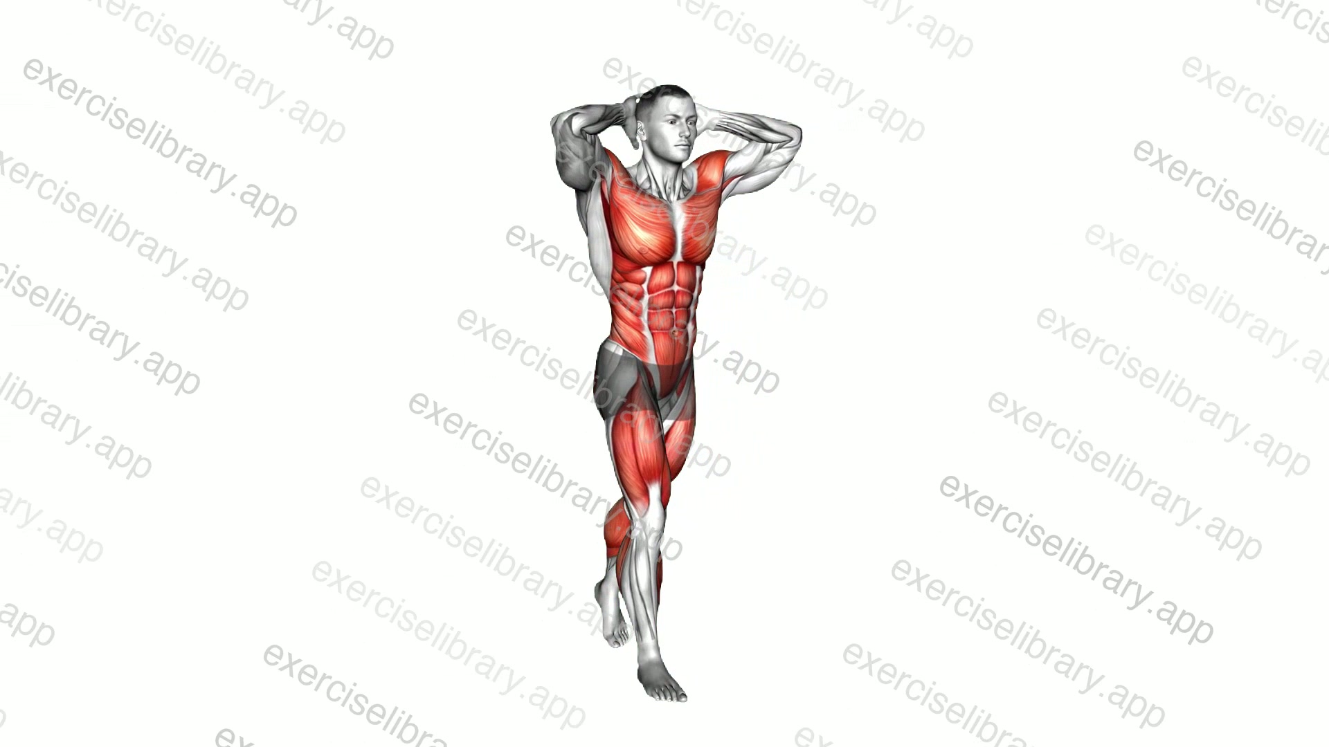 Twist and Leg Lift demonstration