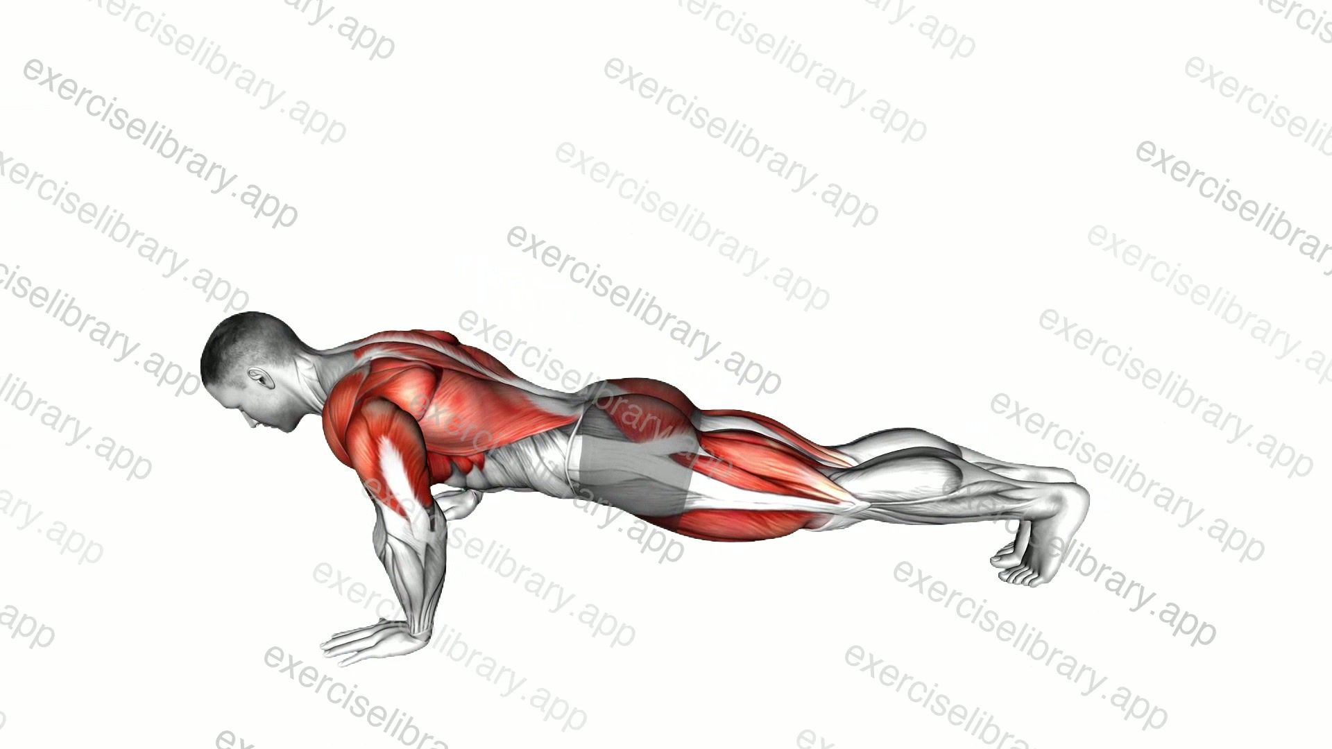 Push-up Pull demonstration