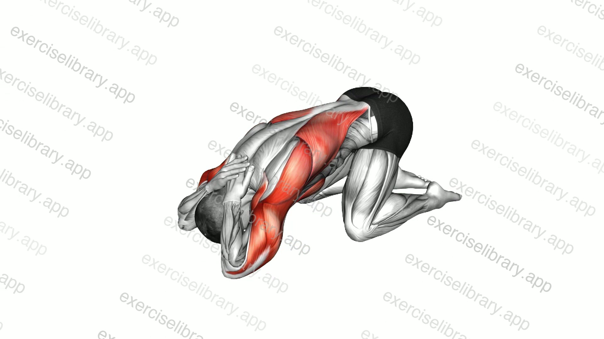 Armless Prayer Stretch demonstration