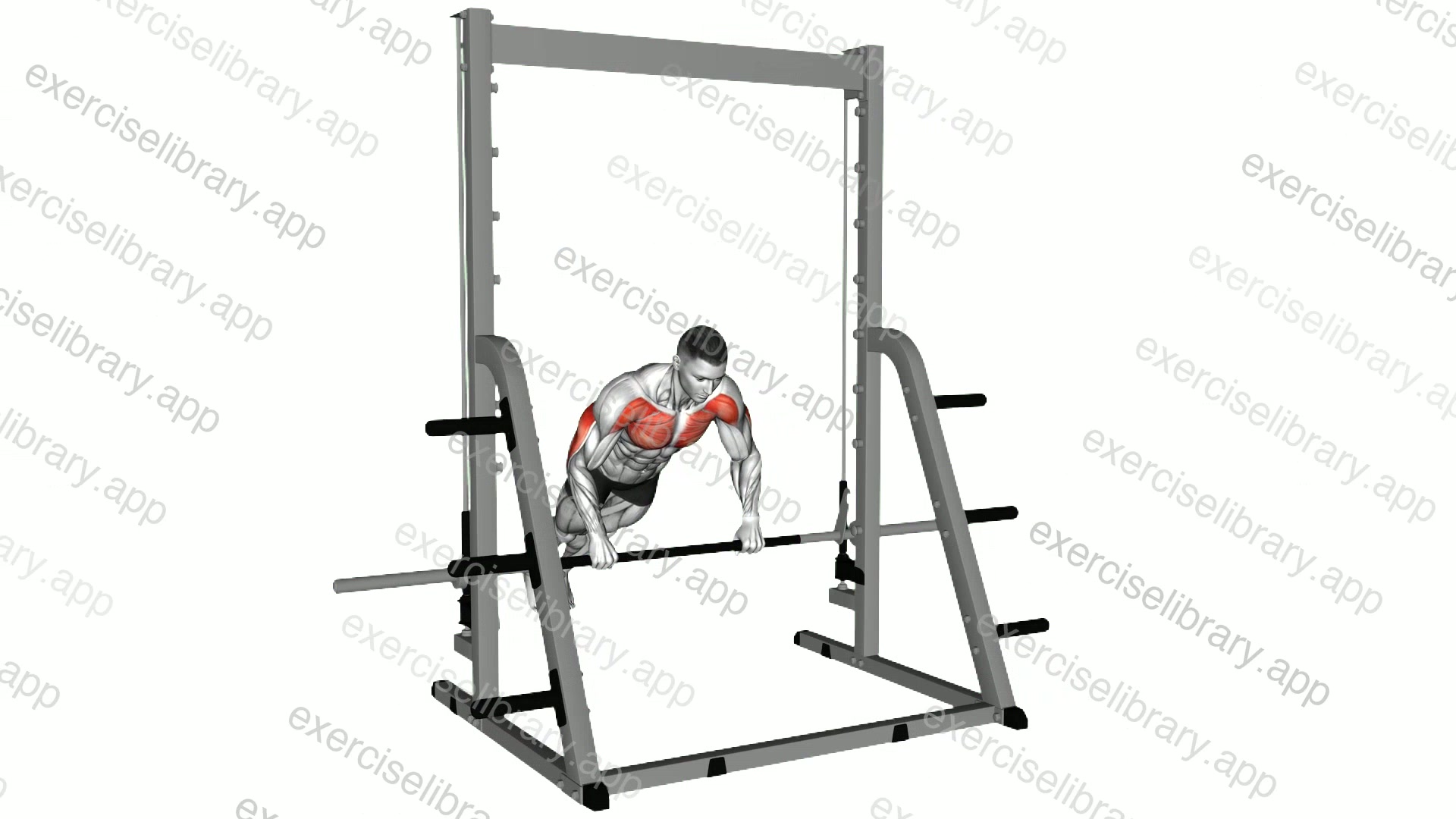 Incline Push-up on a Smith Bar demonstration