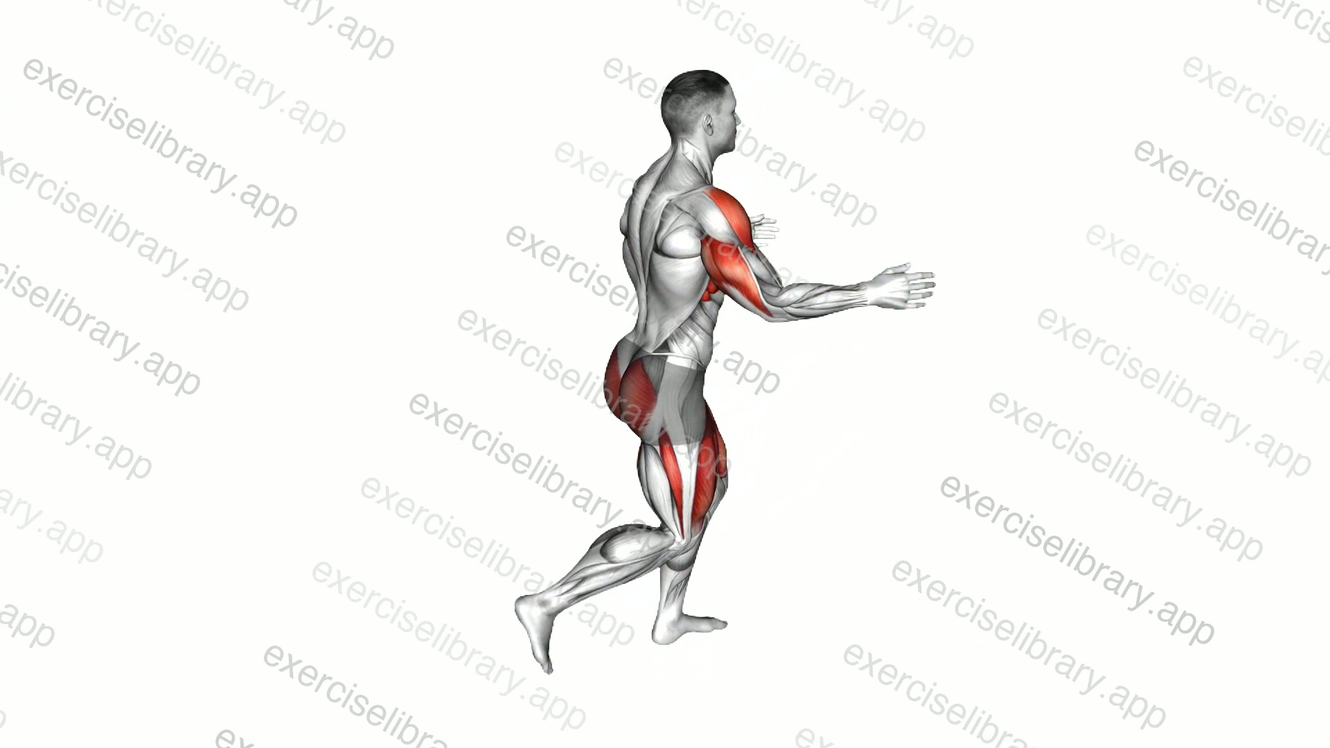 Bodyweight Reverse Lunge with Overhead Reach demonstration