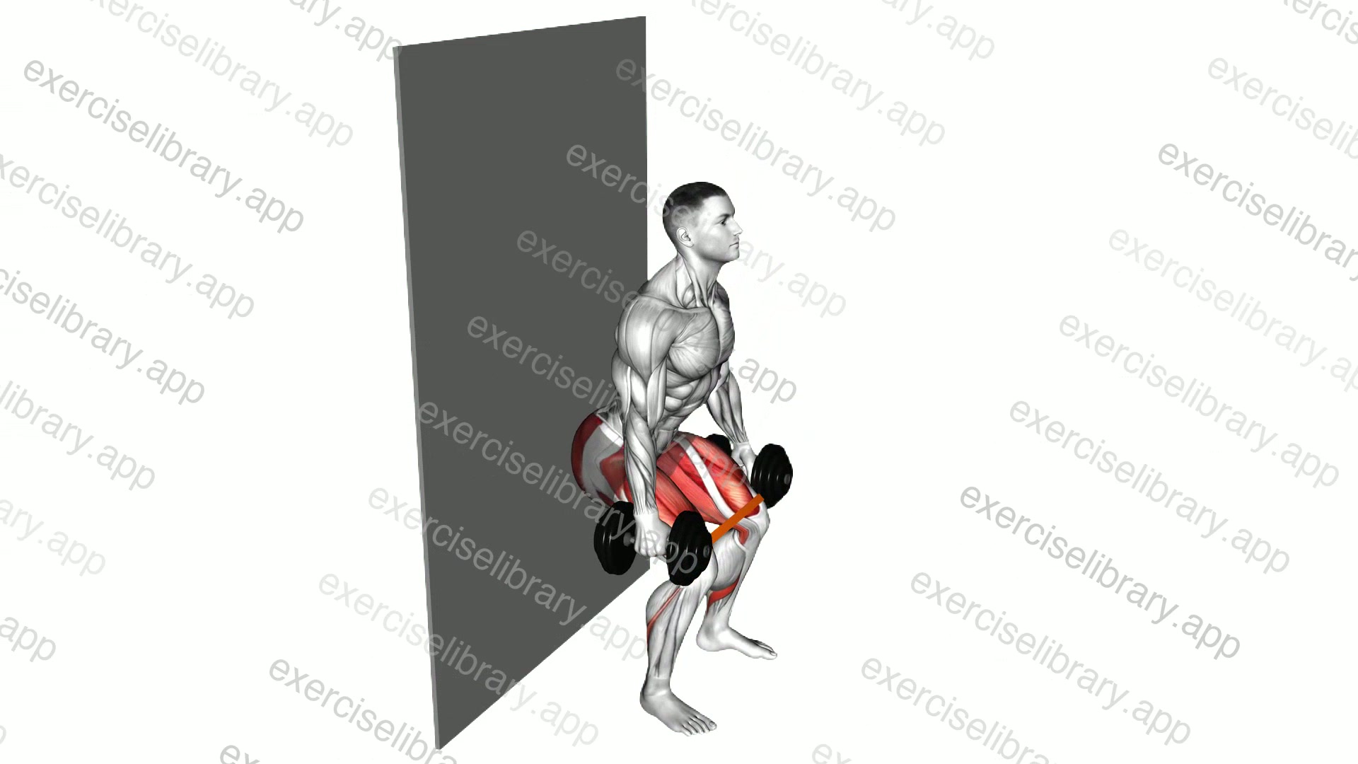 Dumbbell Banded Wall Sit demonstration