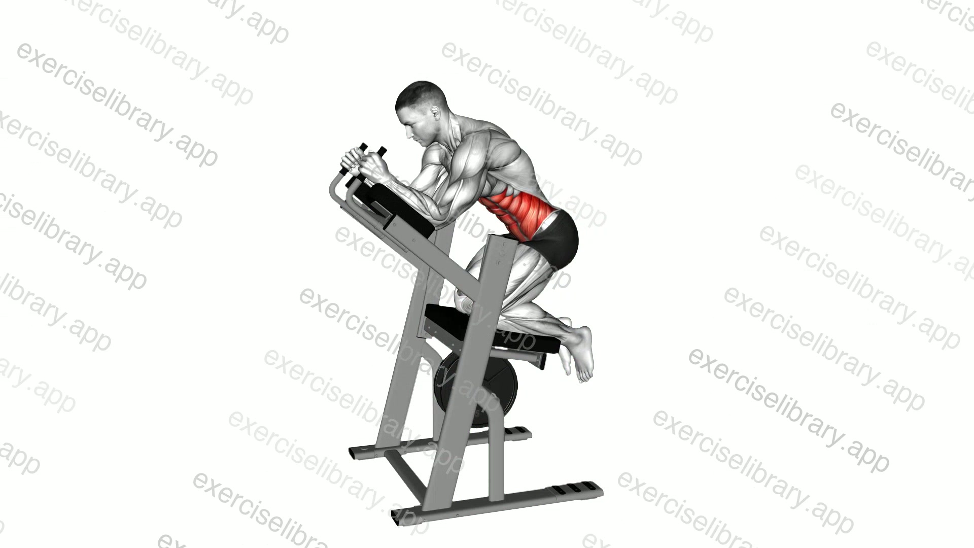 Lever Ab Swing demonstration