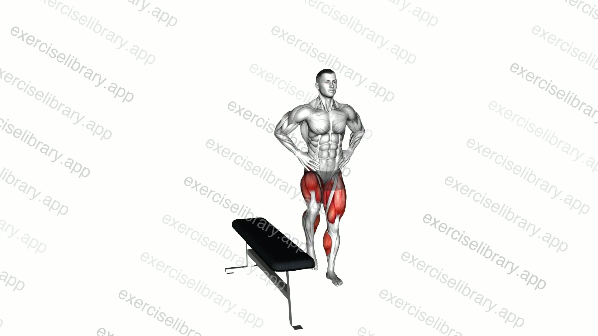 Bodyweight Lateral Step-up demonstration