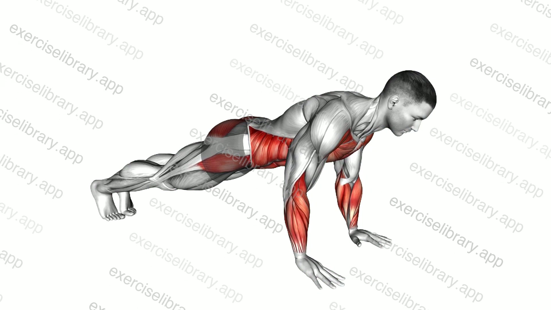 Finger Raises Plank demonstration