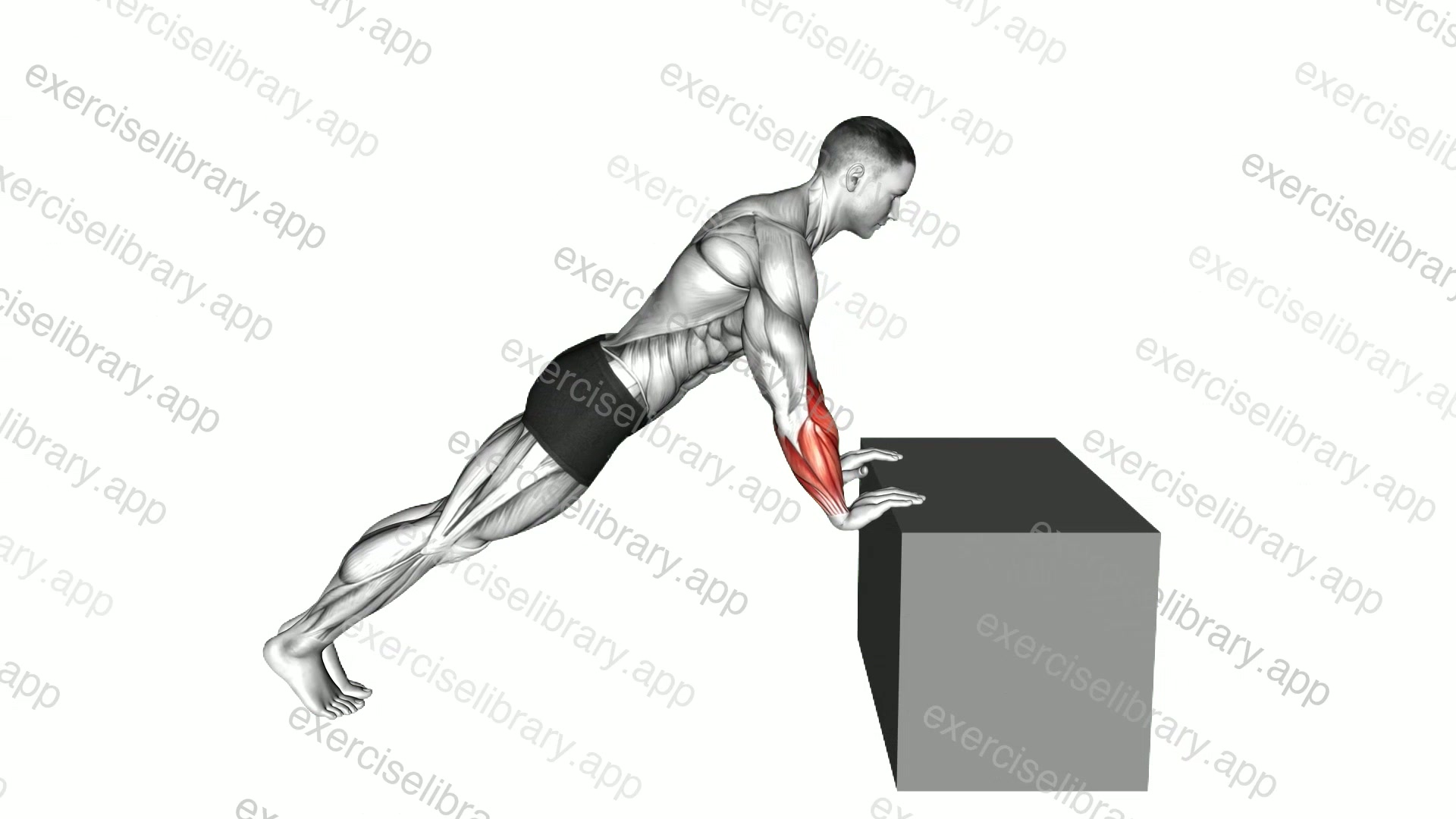 Incline Finger Press demonstration