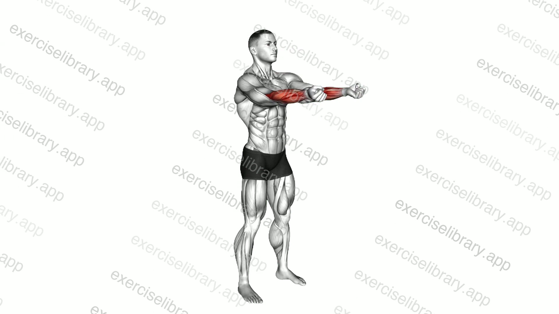 Standing Switching Palm Squeezes demonstration