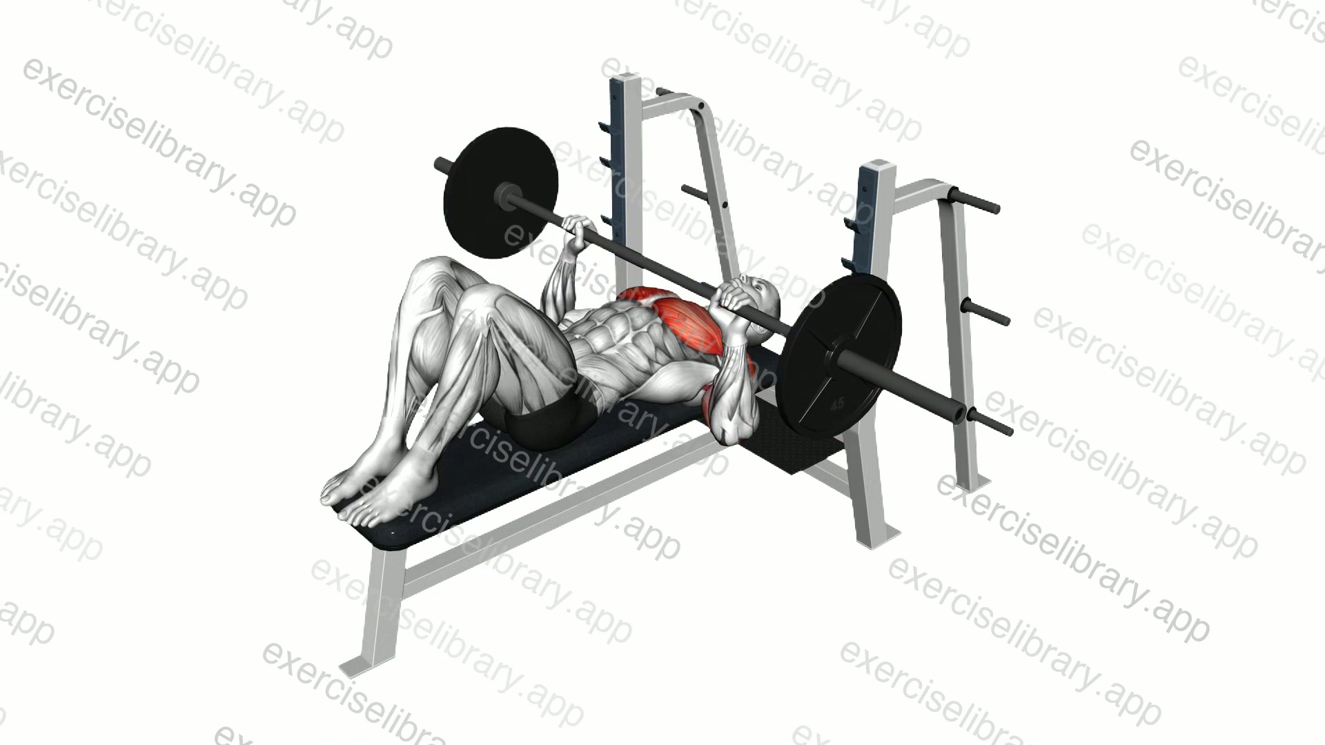 Barbell Feet Flat Bench Press demonstration