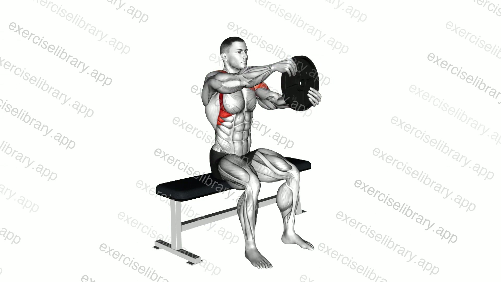 Weighted Seated Plate Driver demonstration