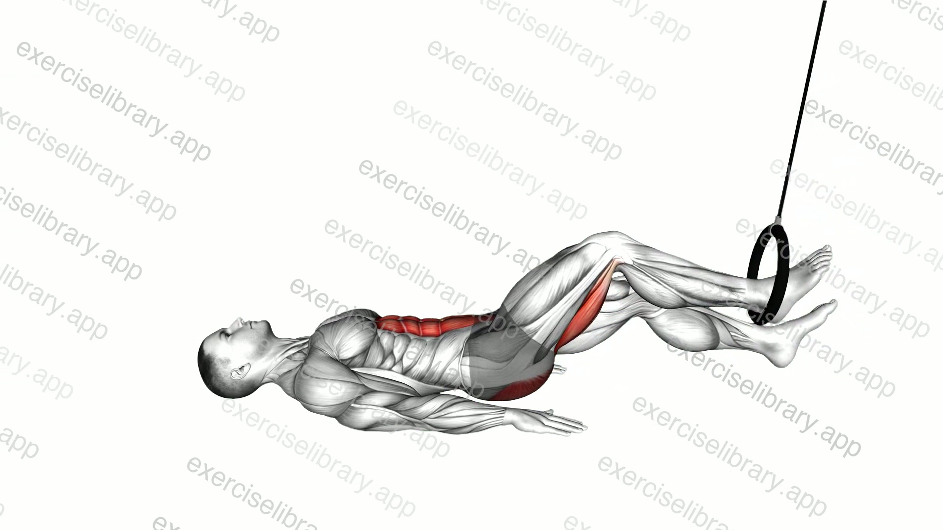 Ring Hip Lift Single Leg Curl demonstration