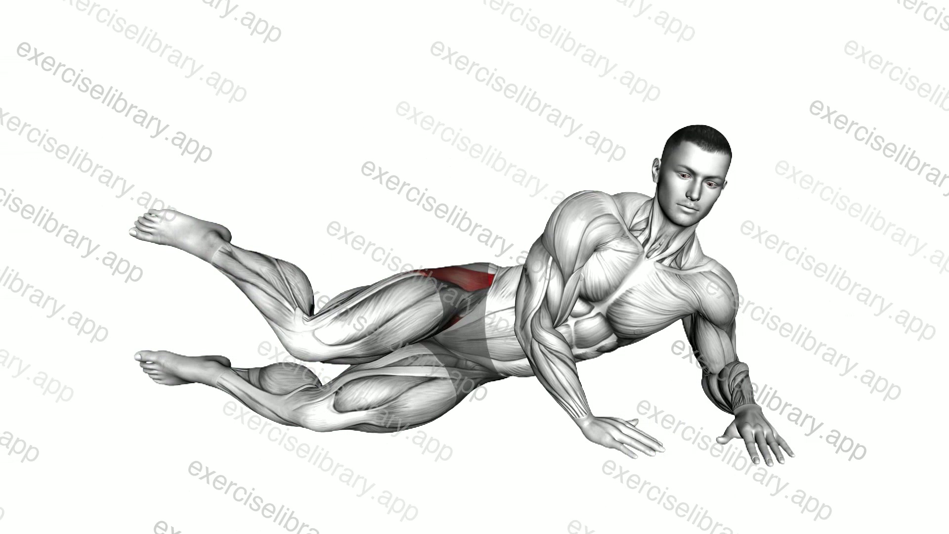 Side Lying Heel and Knee Taps demonstration
