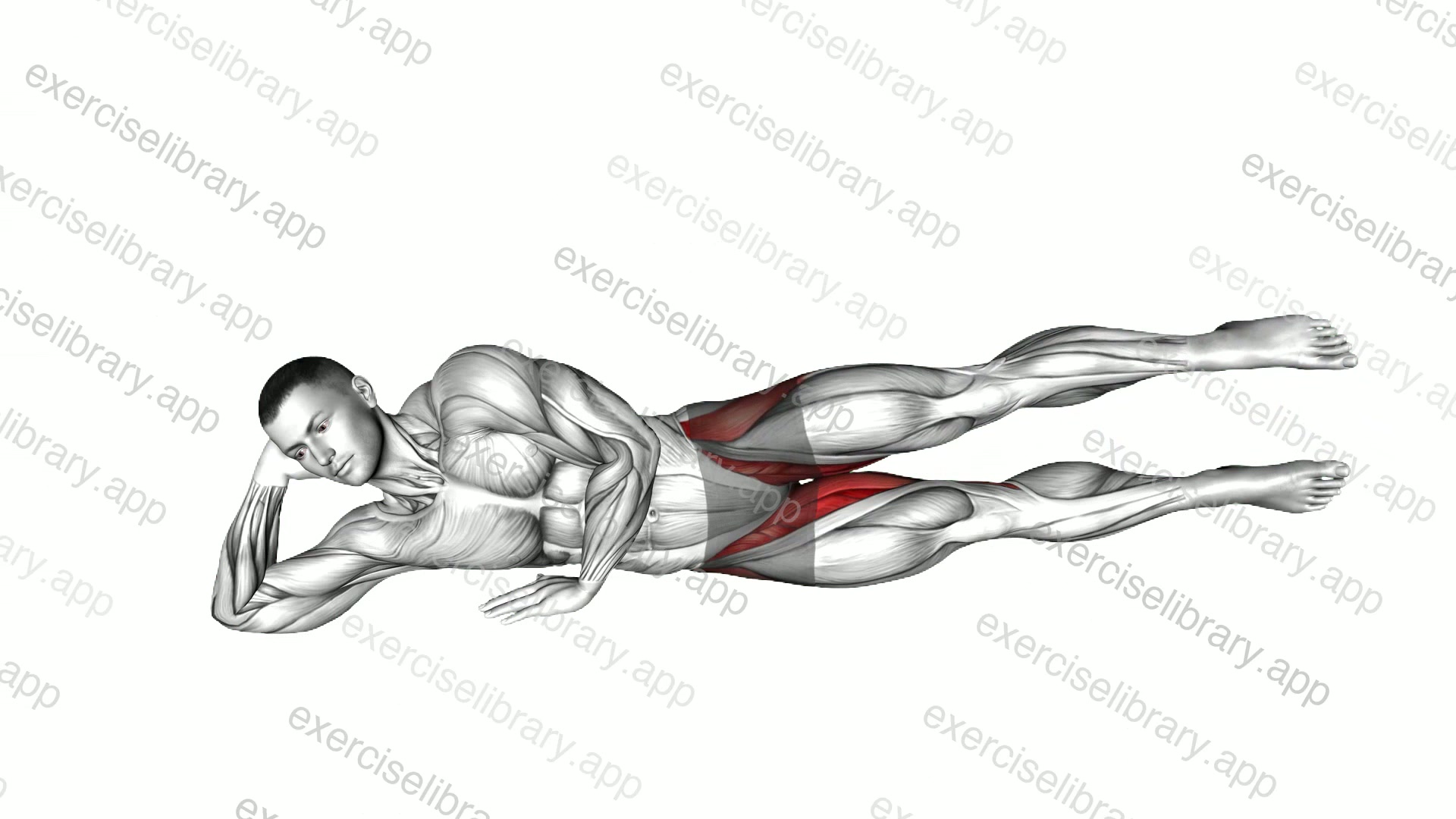 Bodyweight Side Lying Inner Thigh-up and Down demonstration