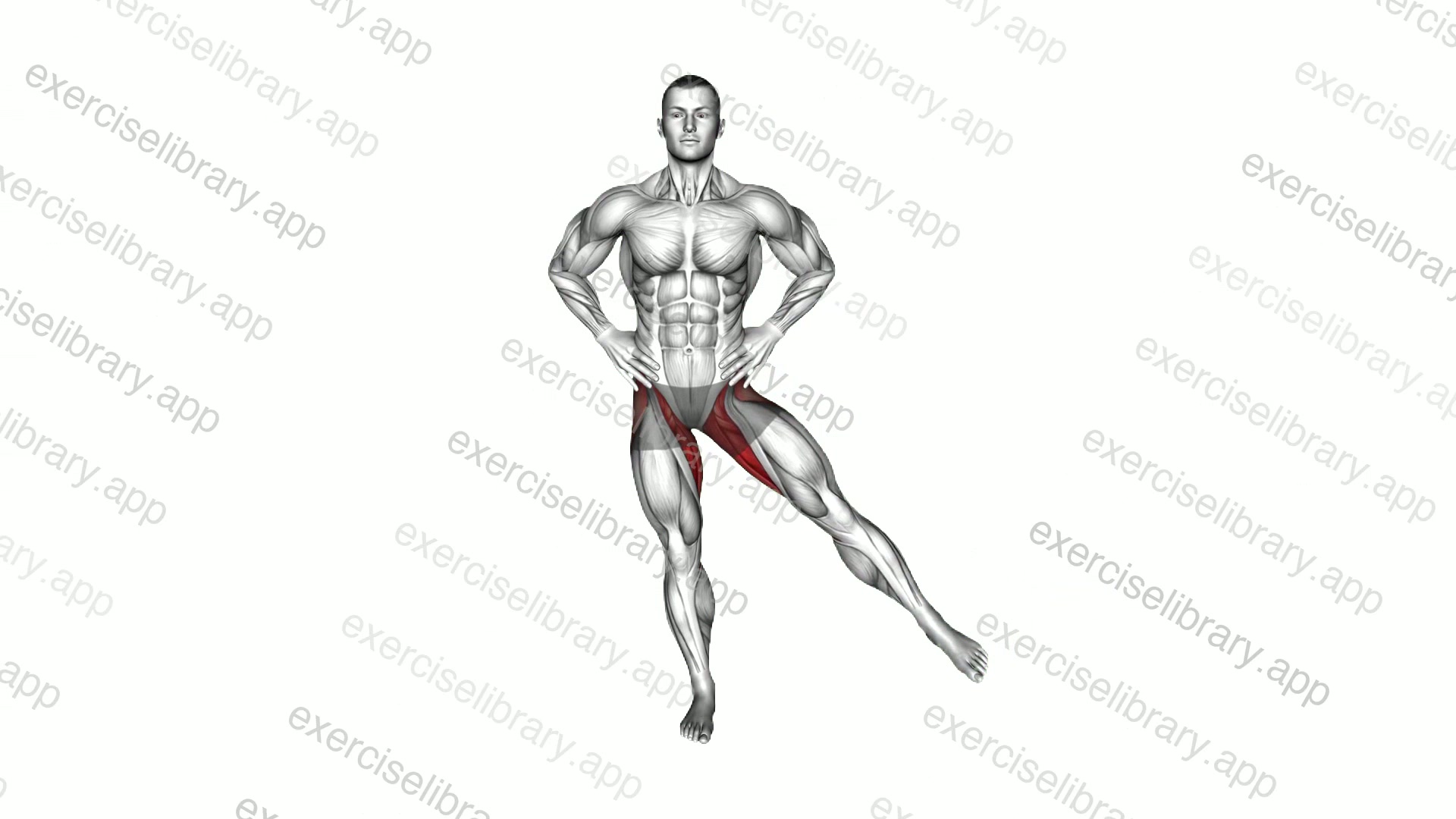 Standing Balance Single Crossover Pendulum Leg demonstration