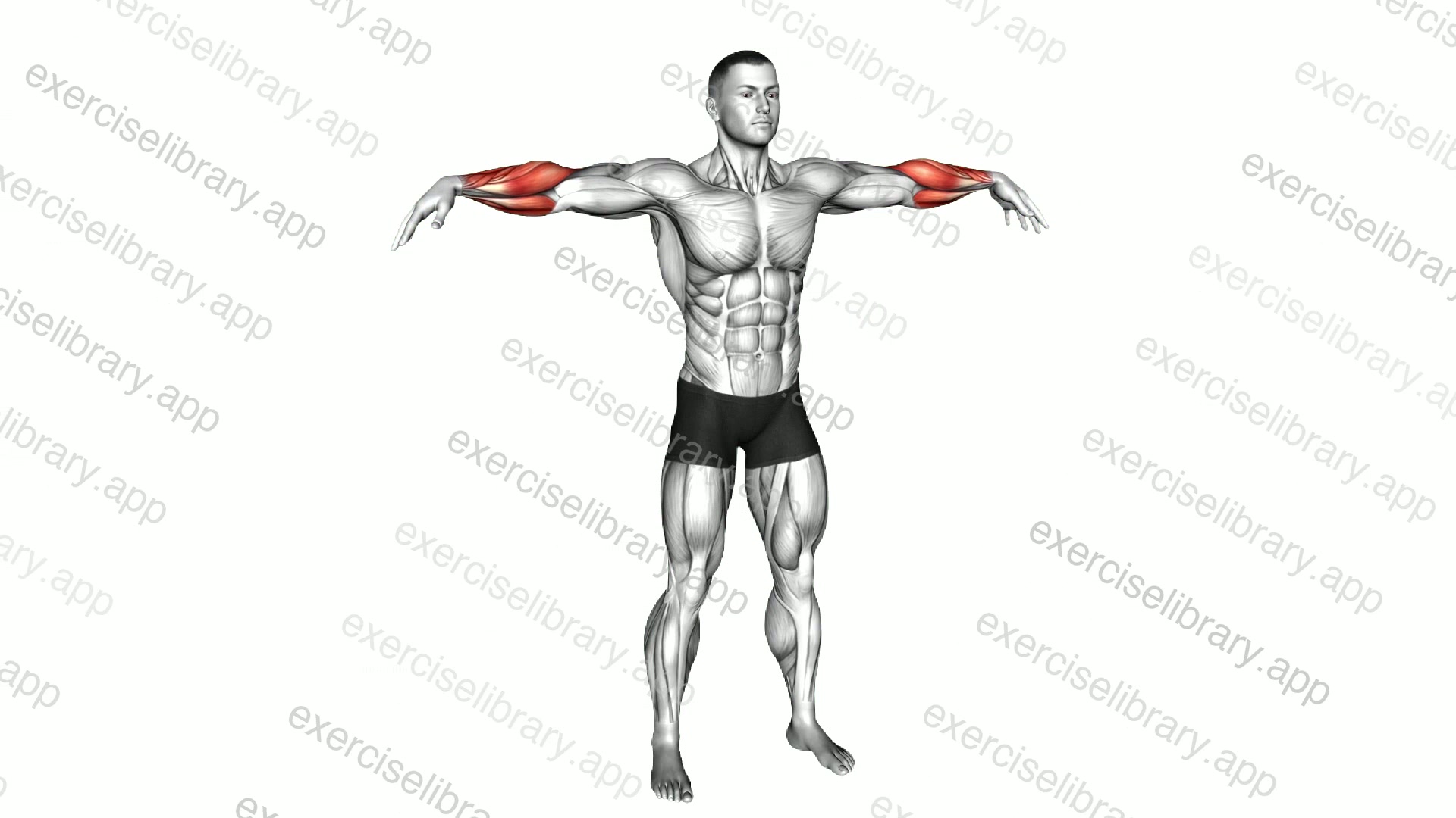 Standing Mid Air Finger Bounces demonstration