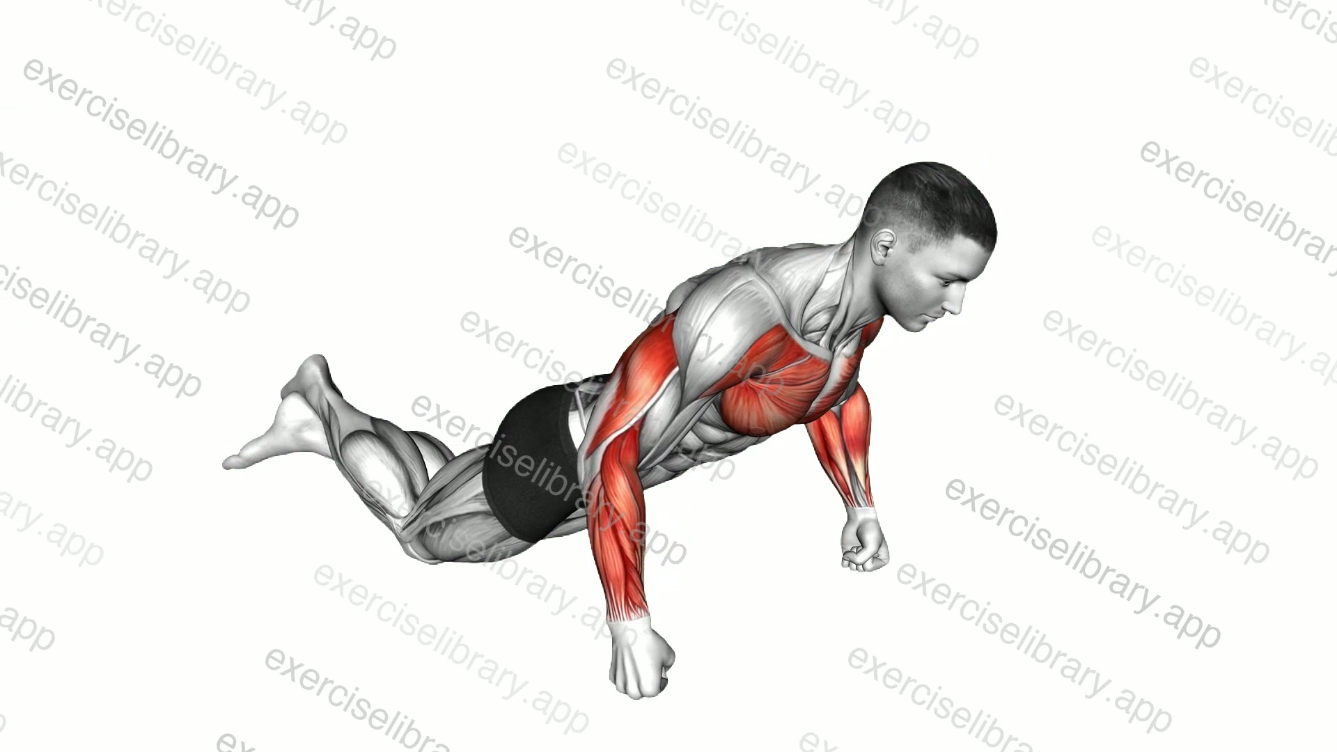 Kneeling Knuckle Push-up demonstration