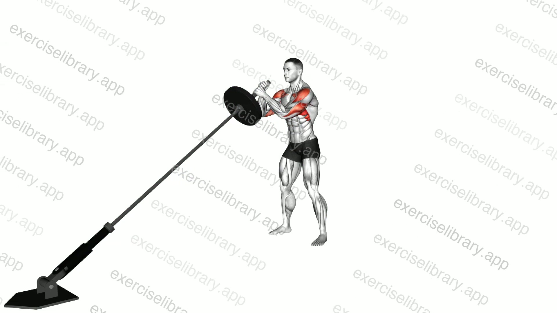 Landmine Shoulder To Shoulder Press demonstration