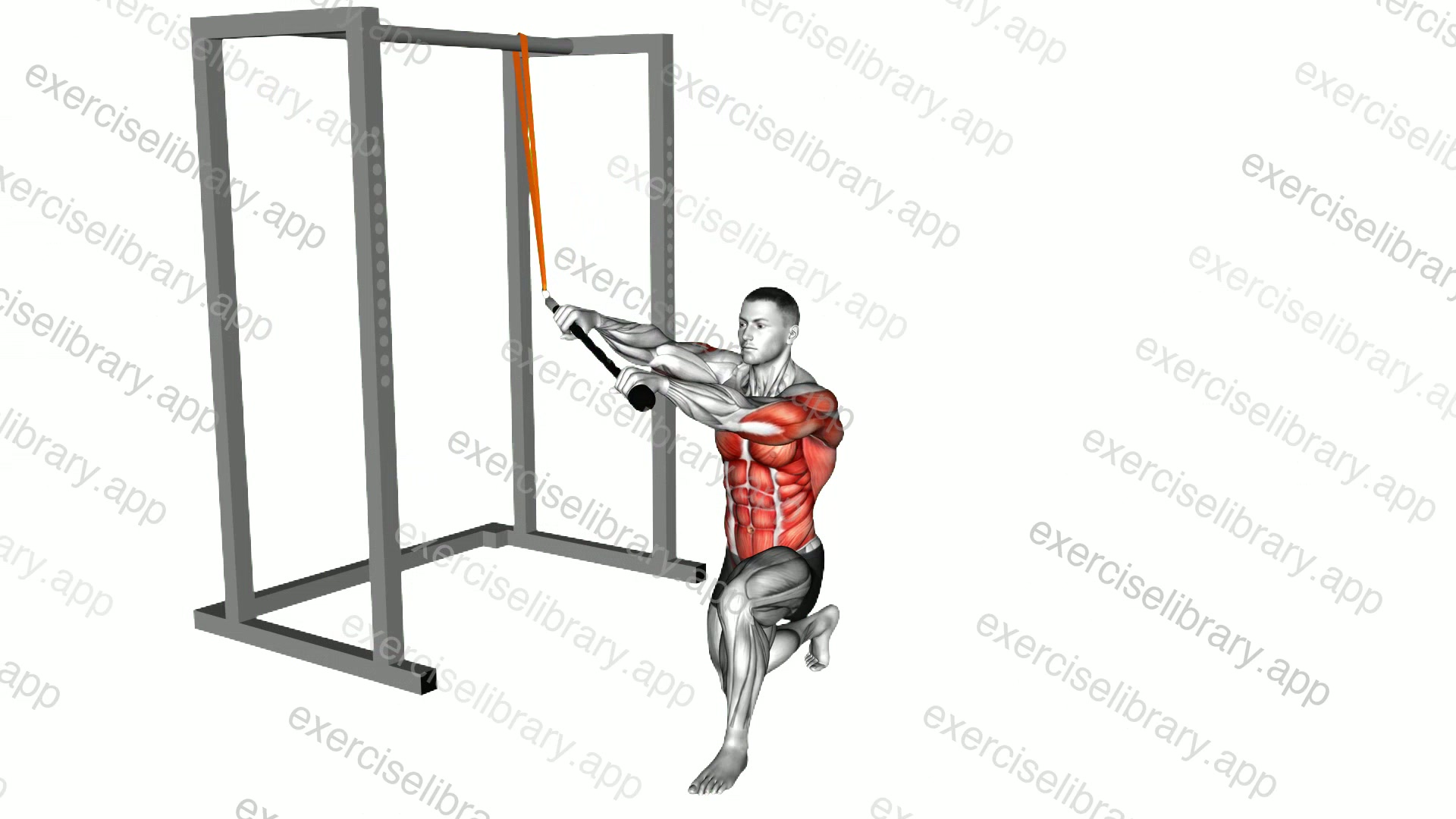 Resistance Band Kneeling High Low Anti Rotation Chop demonstration