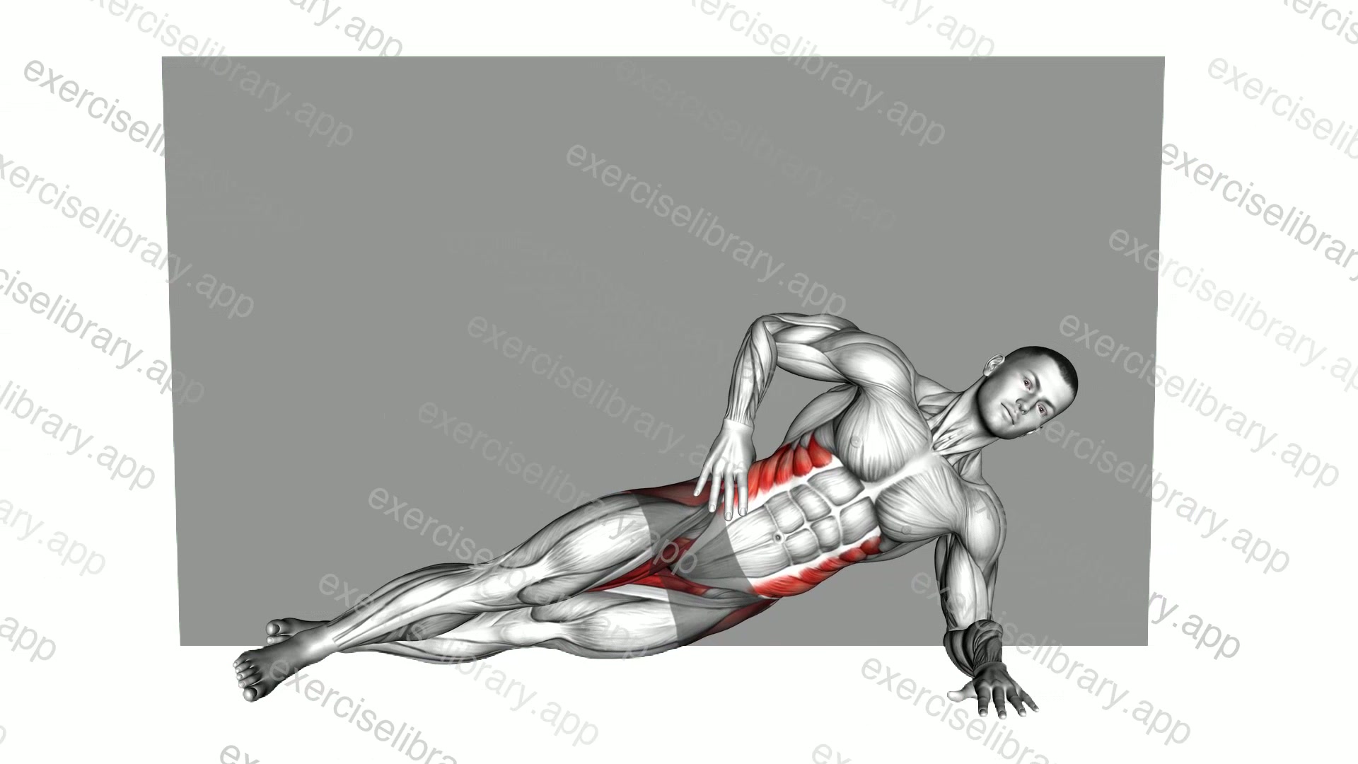 Side Plank Supported Wall demonstration